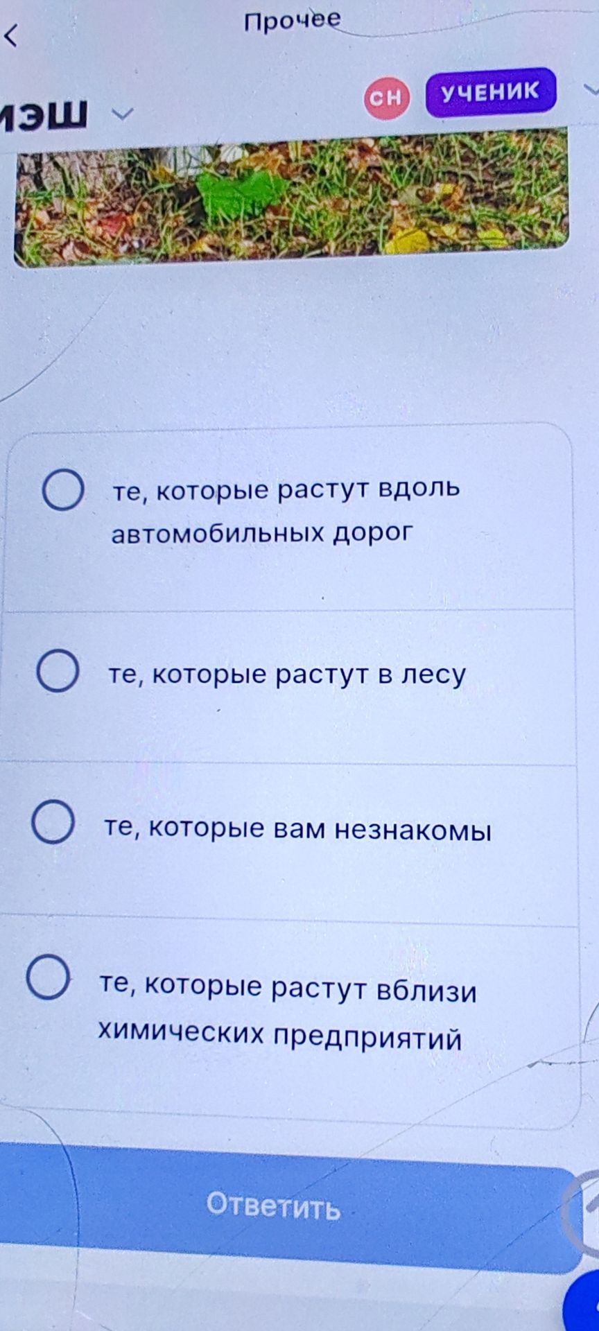 Фото задания: те, которые растут в лесу