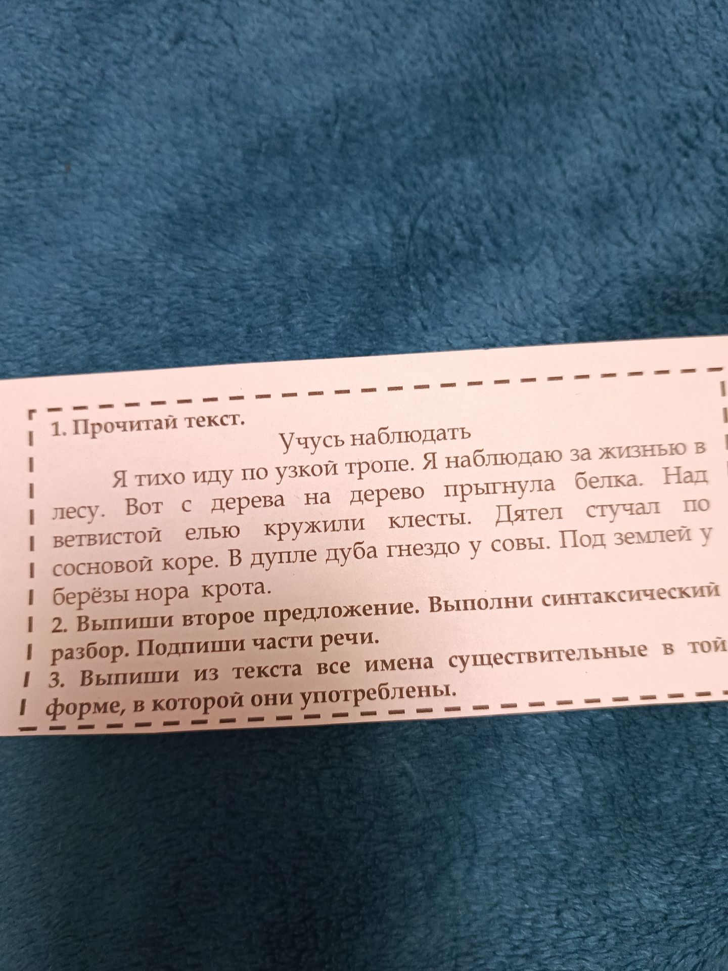Фото задания: 1. Прочитай текст. Учусь наблюдать Я тихо иду по узкой тропе. Я наблюдаю за жизнью в лесу. Вот с дерева на дерево прыгнула…