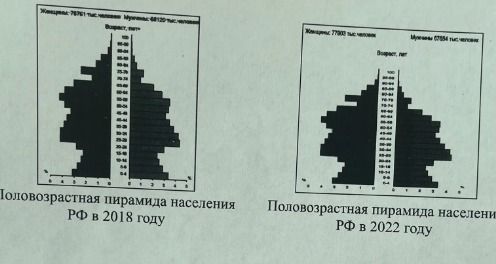 Фото задания: Please analyze the image and provide the data about the population pyramids.