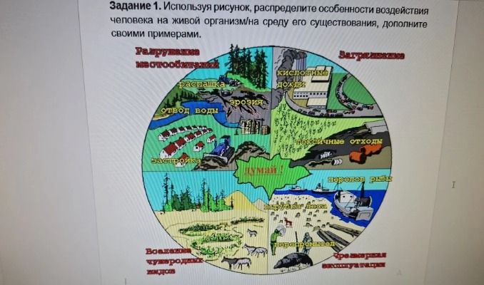 Фото задания: Используя рисунок, распределите особенности воздействия человека на живой организм/на среду его существования, дополните…
