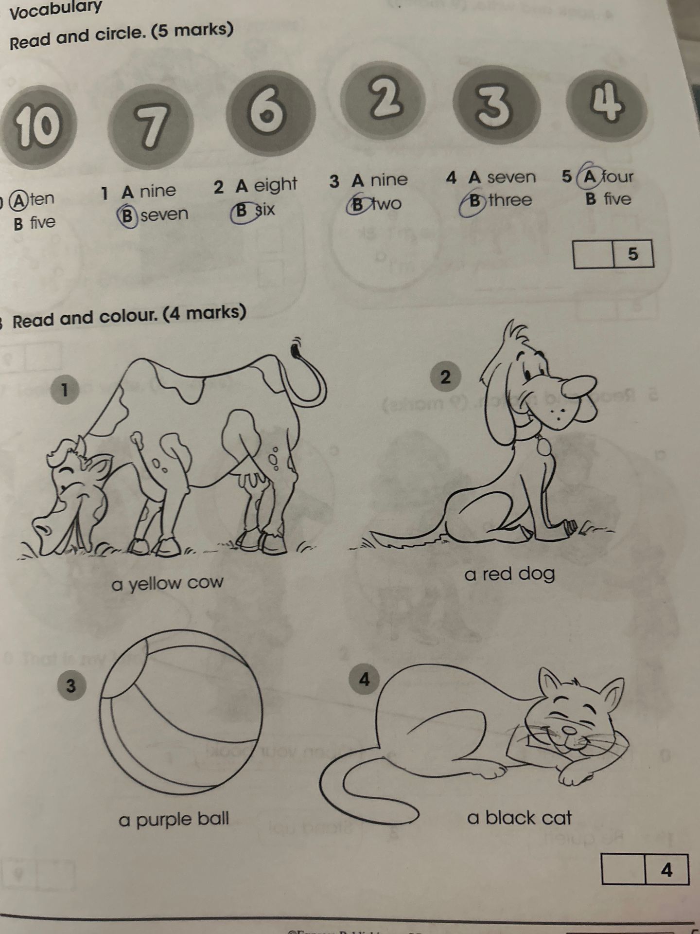 Фото задания: Vocabulary Read and circle. (5 marks)