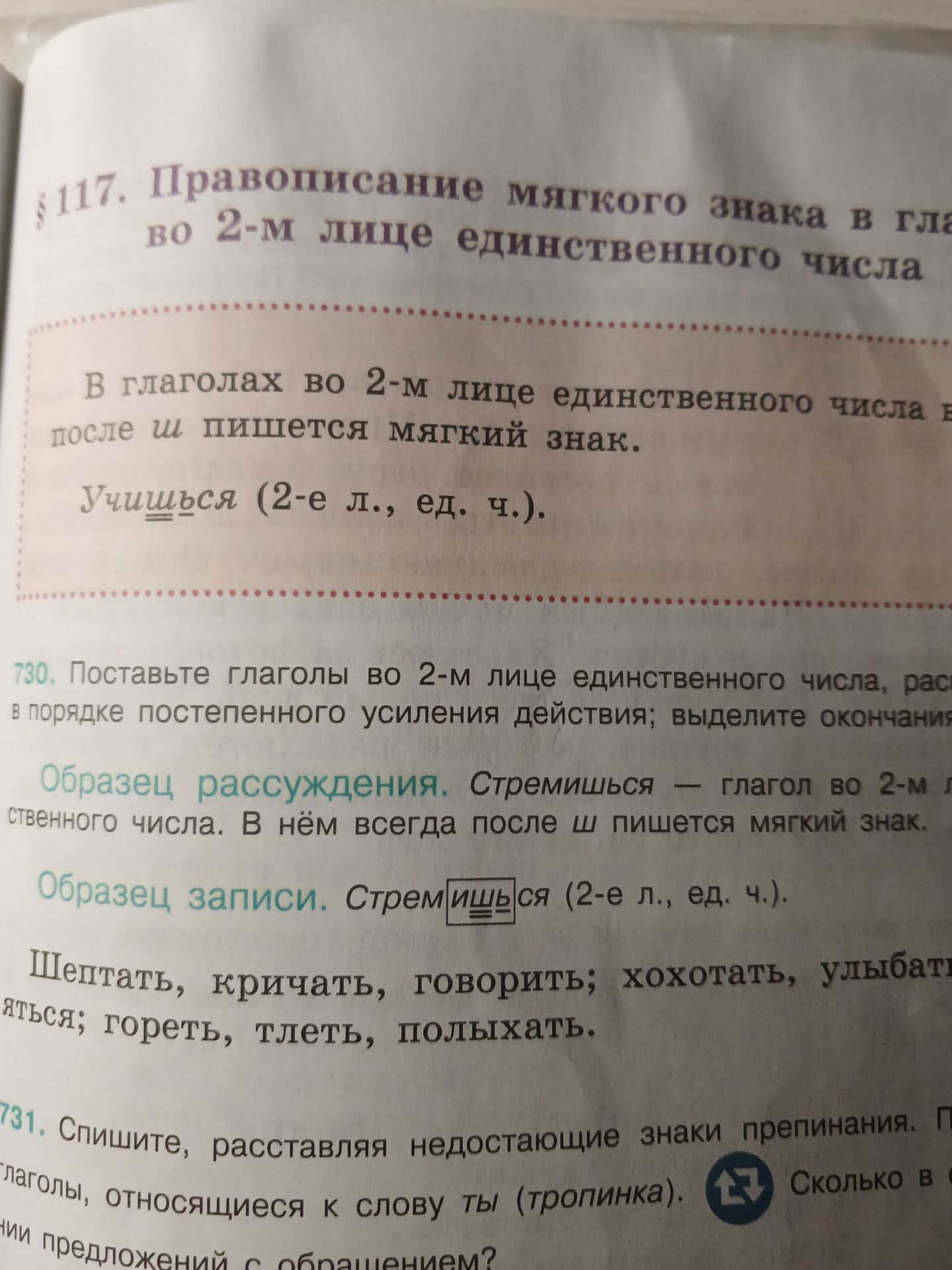Фото задания: 117. Правописание мягкого знака в глаголах во 2-м лице единственного числа.