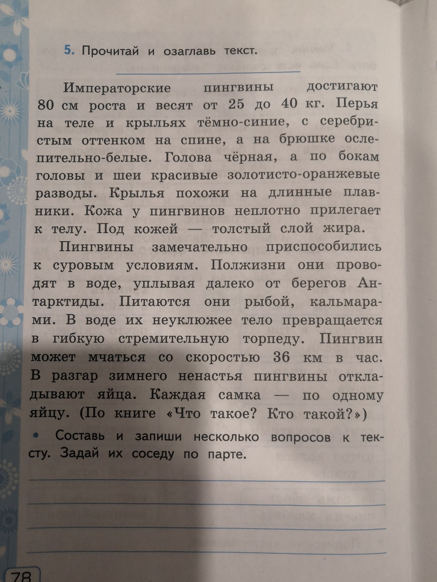 Фото задания: Когда пингвины откладывают яйца и сколько их бывает у одной самки?