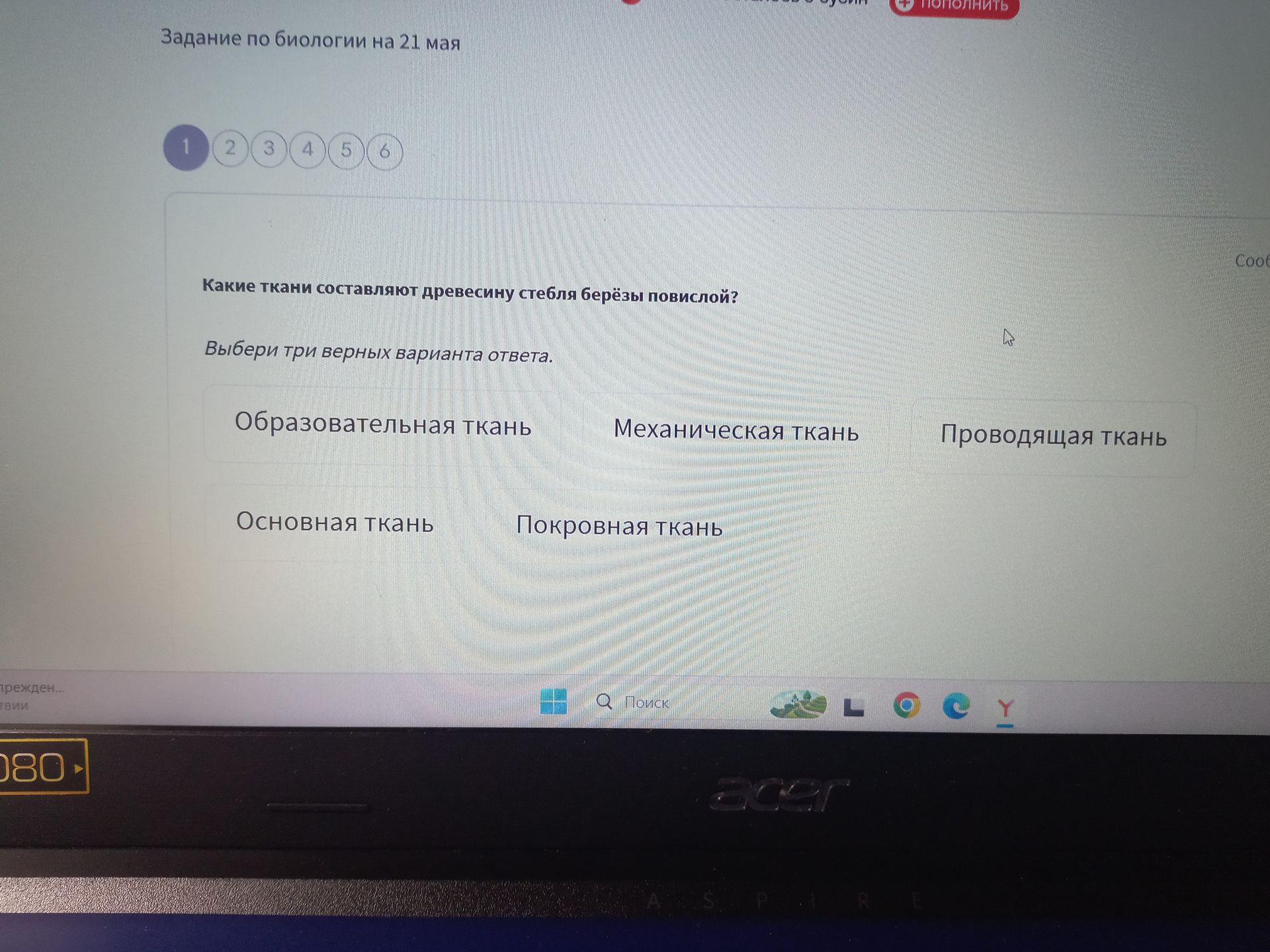Фото задания: Какие ткани составляют древесину стебля берёзы повислой? Выбери три верных варианта ответа.