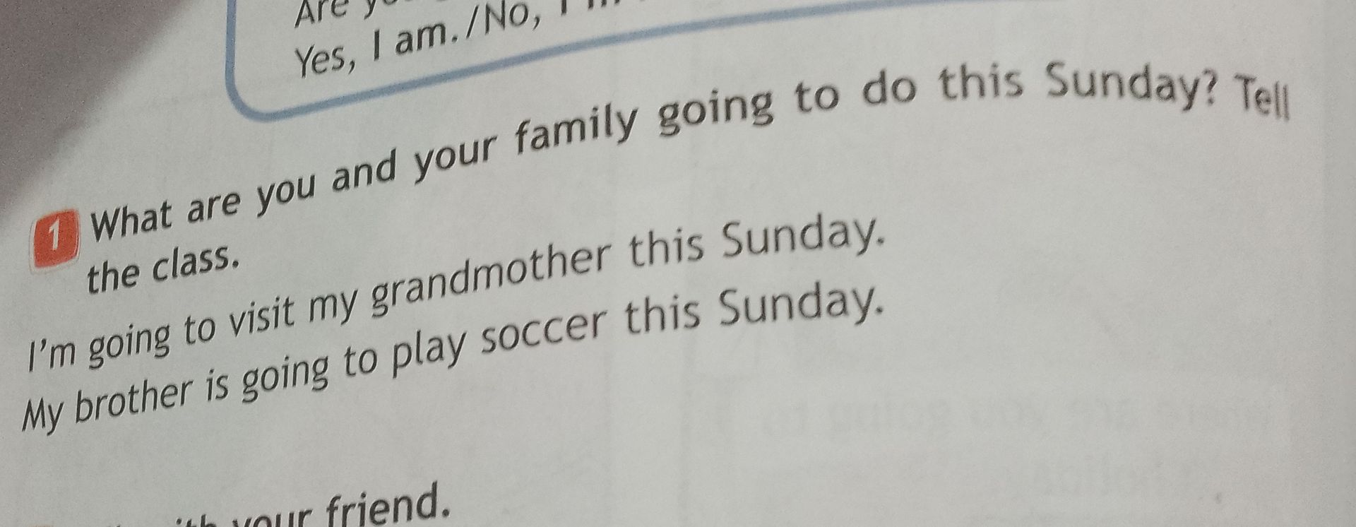 Фото задания: What are you and your family going to do this Sunday? Tell the class.