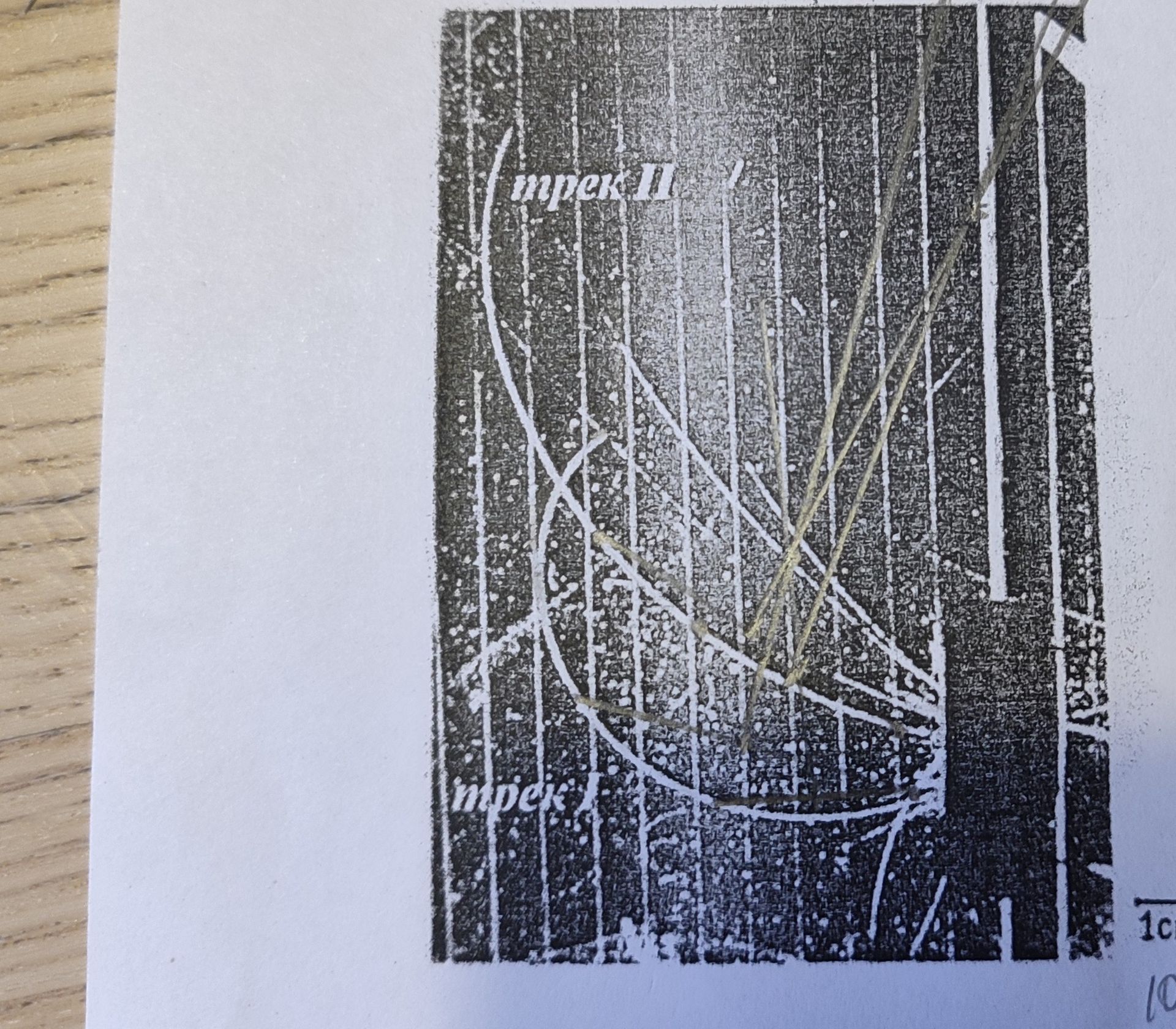 Фото задания: Identify the text labels in the image.