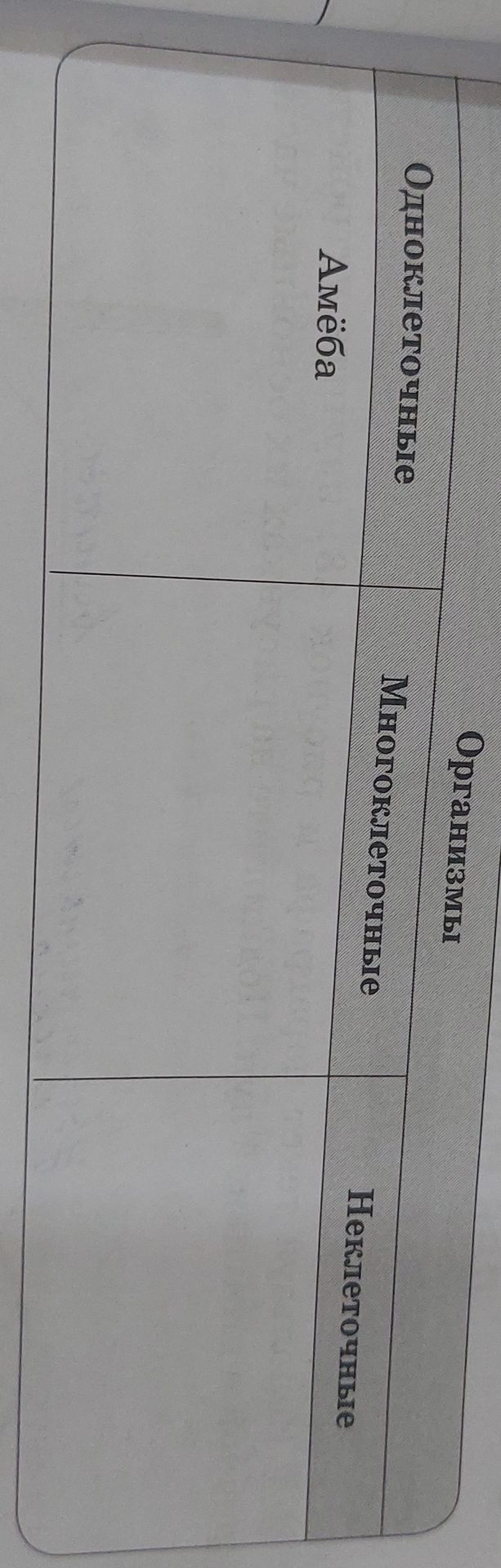Фото задания: Одноклеточные Многоклеточные Неклеточные Организмы Амеба