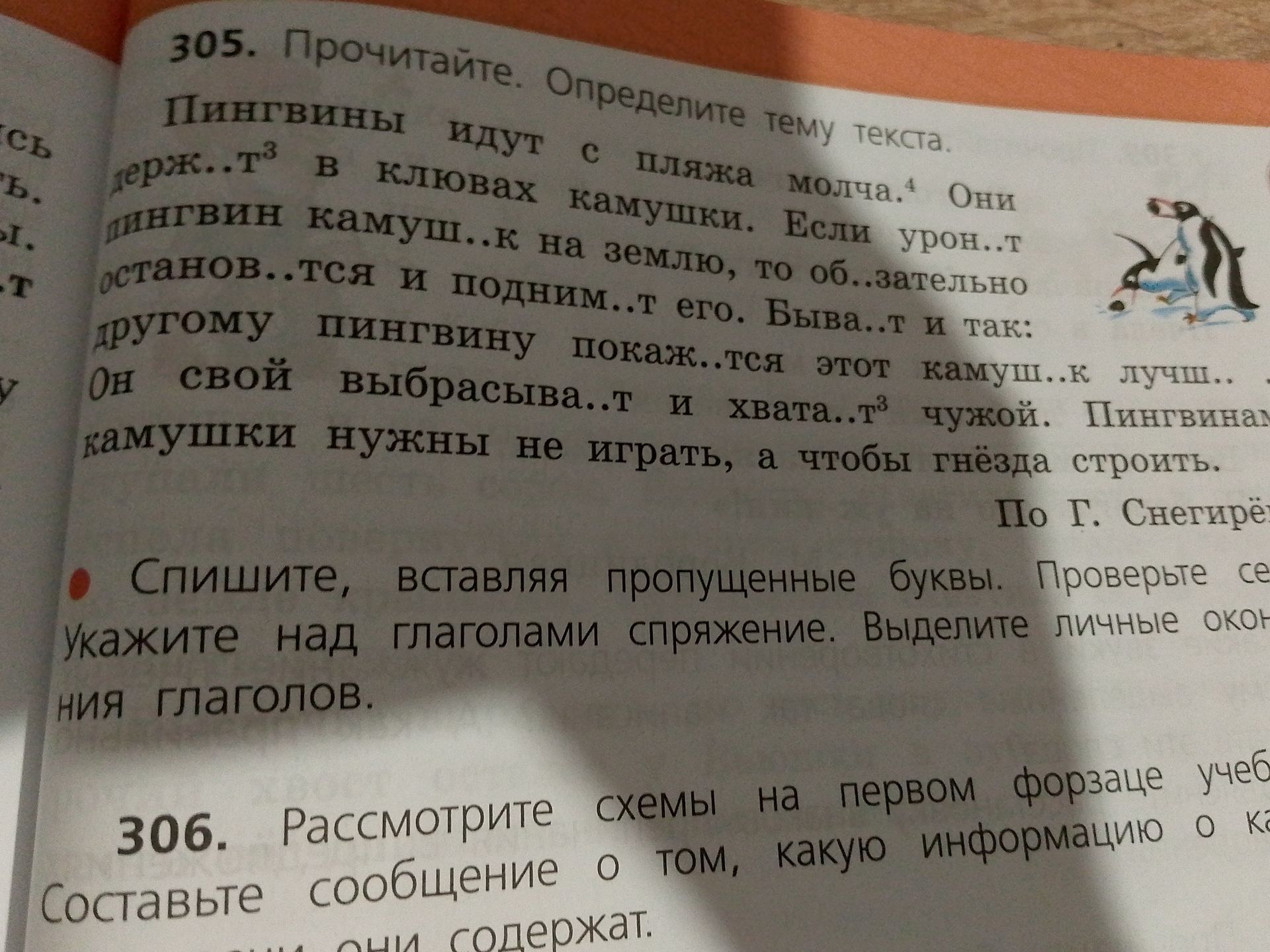 Фото задания: 306. Рассмотрите схемы на первом форзаце учеб. Составьте сообщение о том, какую информацию о ка содержат.