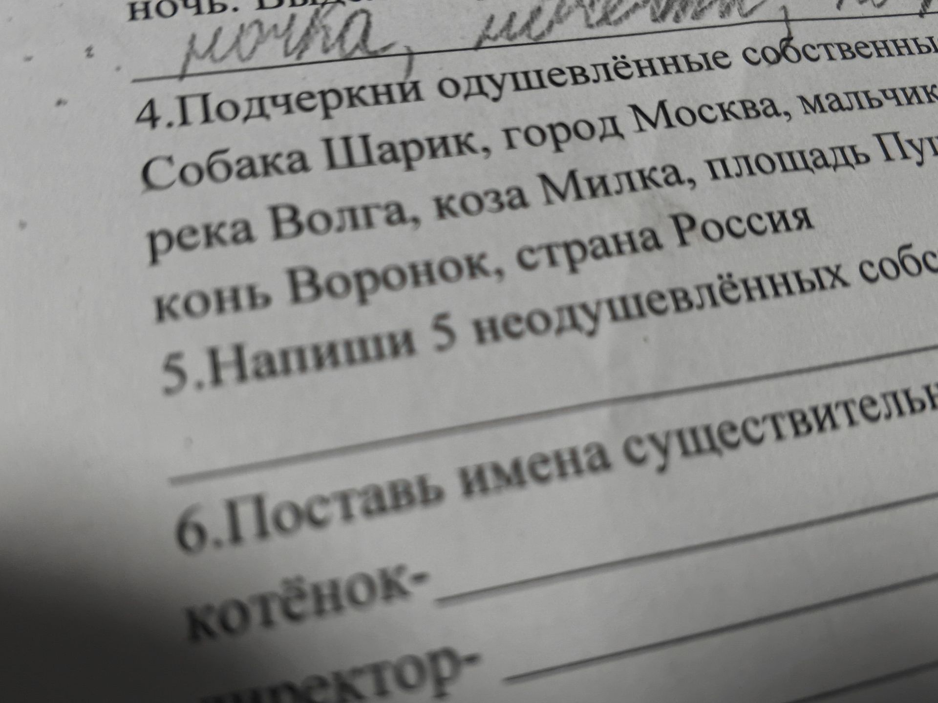 Фото задания: 6.Поставь имена существительн котёнок- ширектор-
