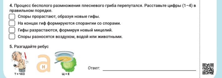 Фото задания: 5. Разгадайте ребус