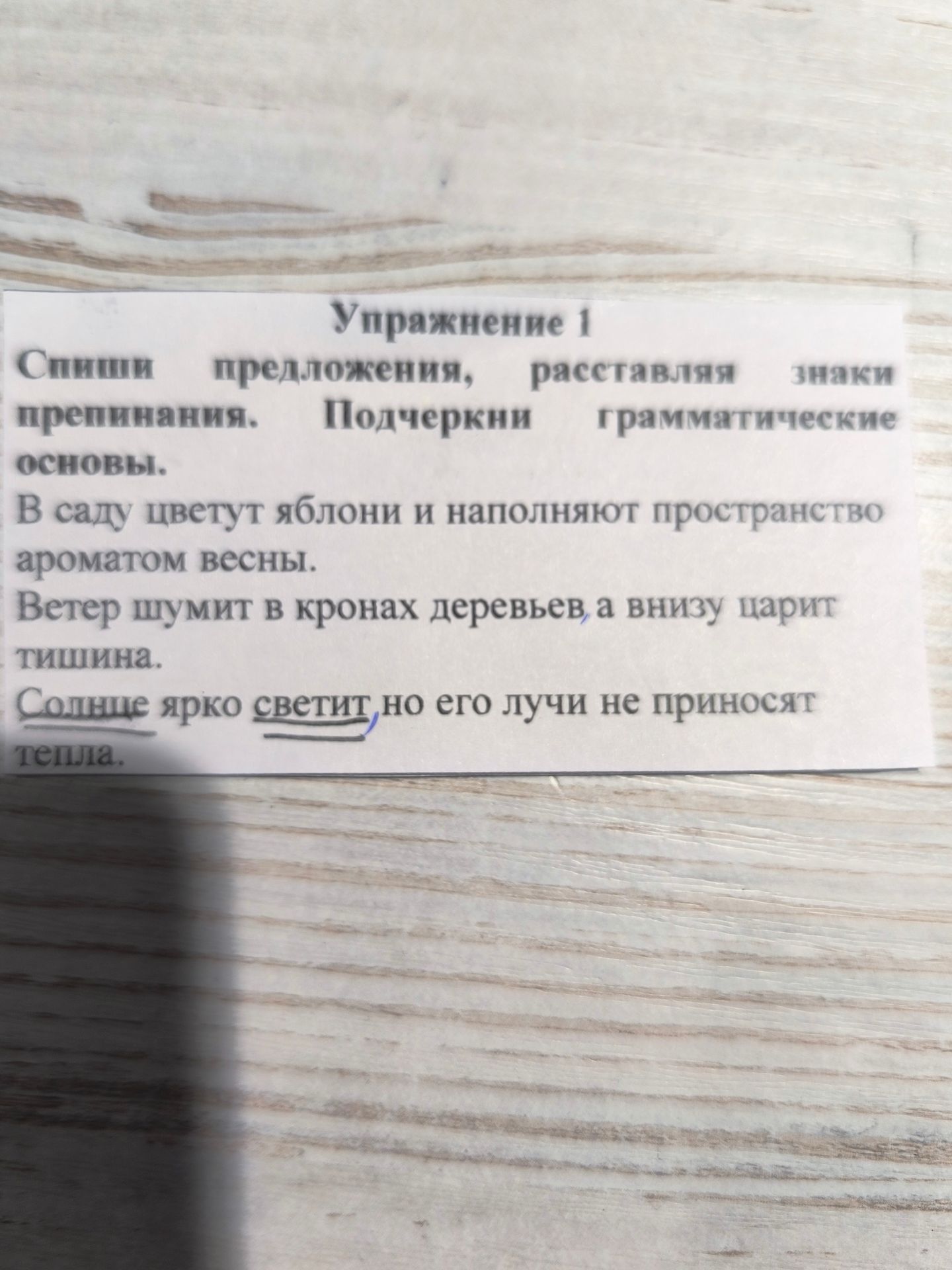 Фото задания: Спиши предложения, расставляя знаки препинания. Подчеркни грамматические основы. В саду цветут яблони и наполняют…