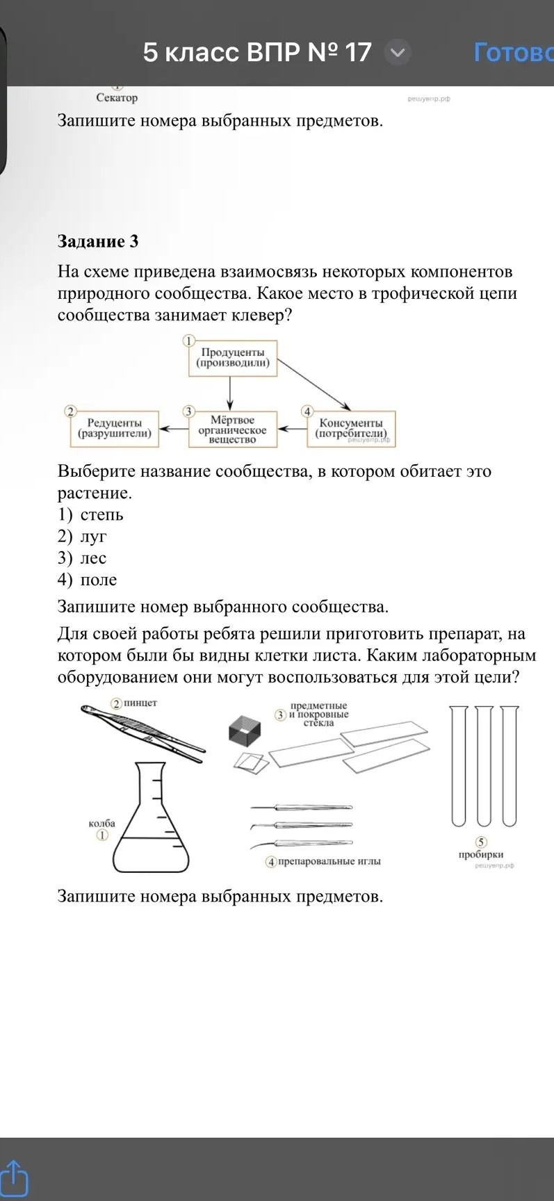 Фото задания: На схеме приведена взаимосвязь некоторых компонентов природного сообщества. Какое место в трофической цепи сообщества…