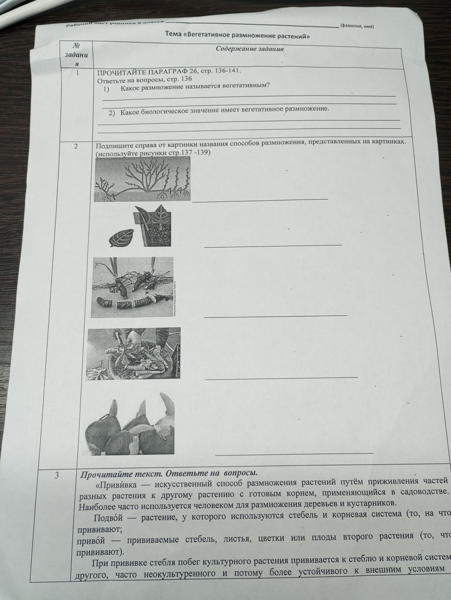Фото задания: Подпишите справа от картинки названия способов размножения, представленных на картинках. (используйте рисунки стр.137 - 139)