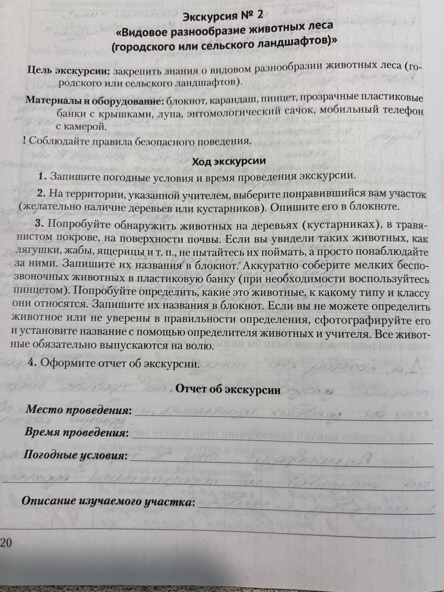 Фото задания: Экскурсия № 2 «Видовое разнообразие животных леса (городского или сельского ландшафтов)» Цель экскурсии: закрепить знания о…
