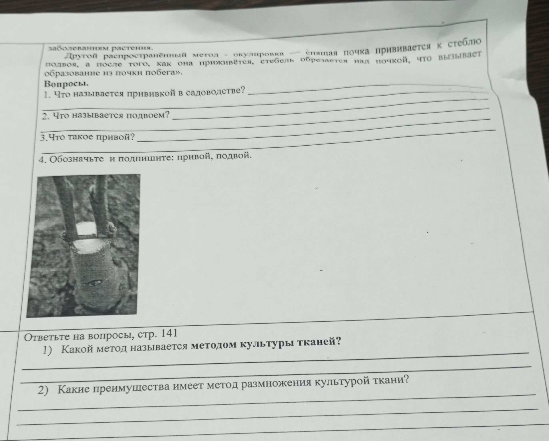 Фото задания: 2. Что называется подвоем?