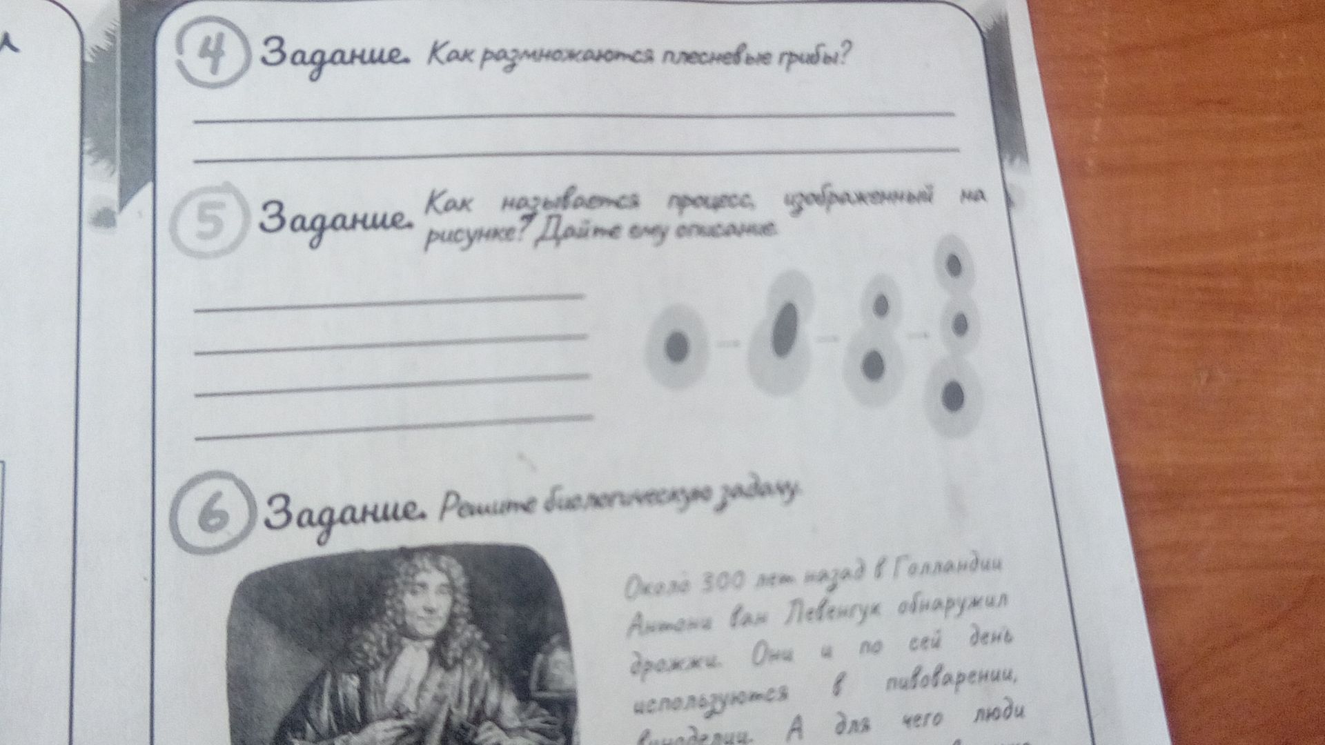 Фото задания: Решите биологическую задачу.
