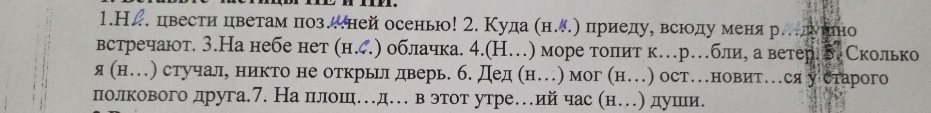 Фото задания: 1.Не. цвести цветам позней осенью! 2. Куда (н.м.) приеду, всюду меня р...душно встречают. 3.На небе нет (н..) облачка.…