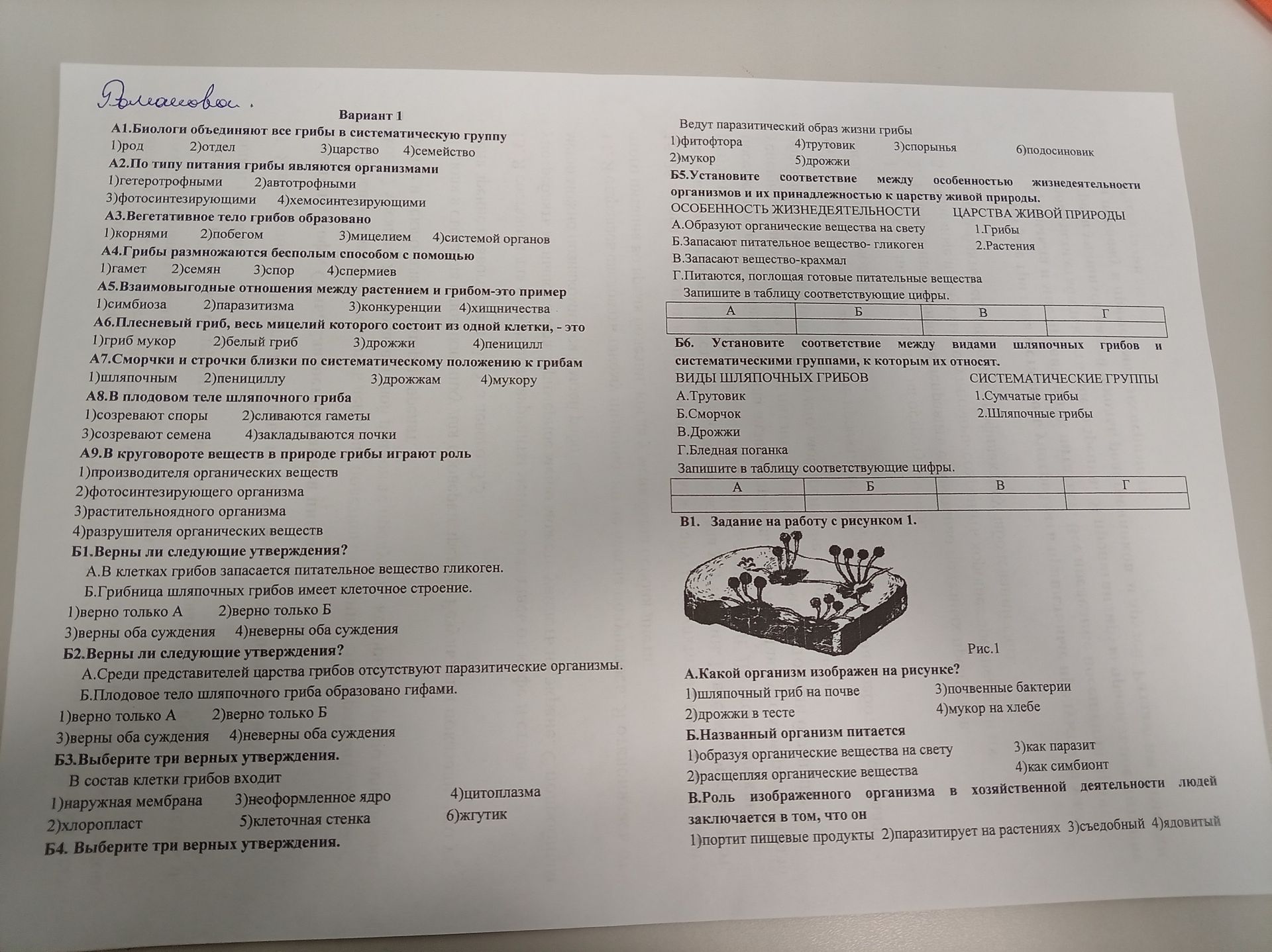 Фото задания: Б4. Выберите три верных утверждения.