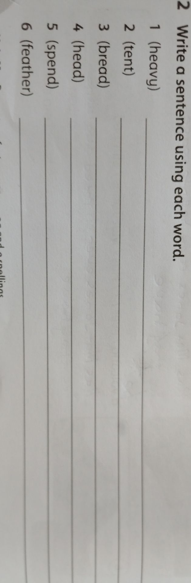 Фото задания: Write a sentence using each word.