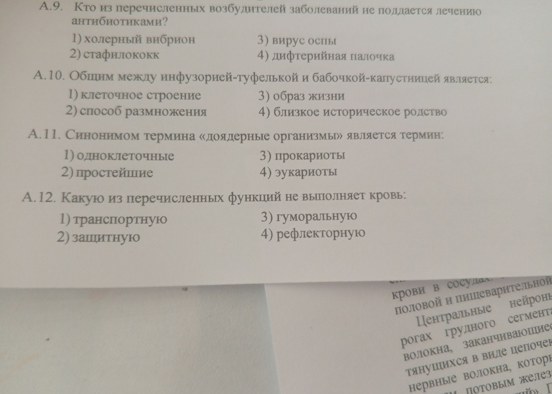 Фото задания: А.11. Синонимом термина «доядерные организмы» является термин: