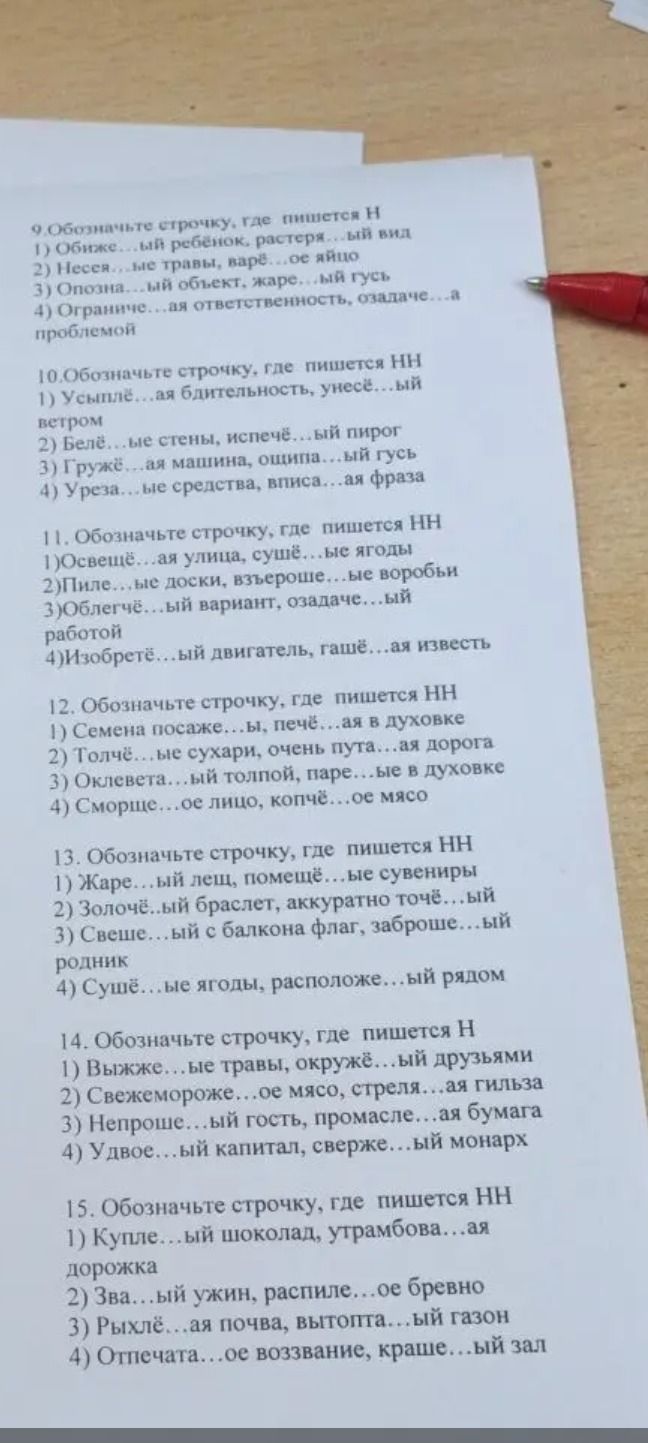 Фото задания: 10. Обозначьте строчку, где пишется НН
