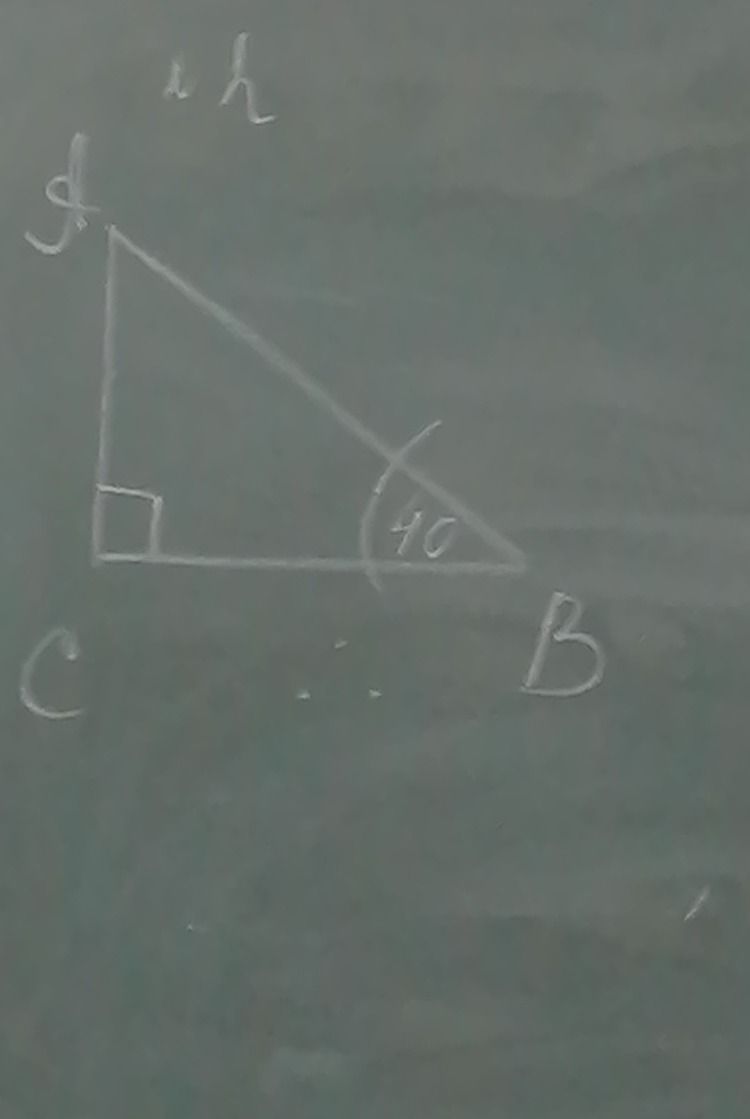 Фото задания: The image contains a right-angled triangle ABC, with angle ABC measuring 40 degrees and angle ACB being 90 degrees. The sides…