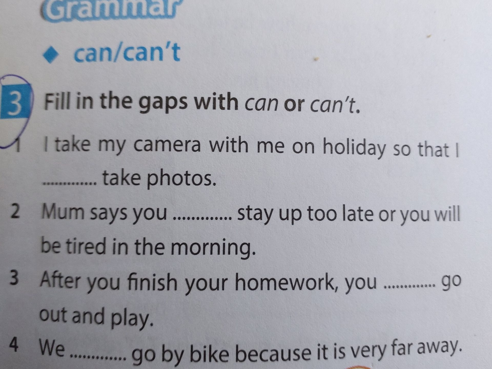 Фото задания: Fill in the gaps with can or can't.