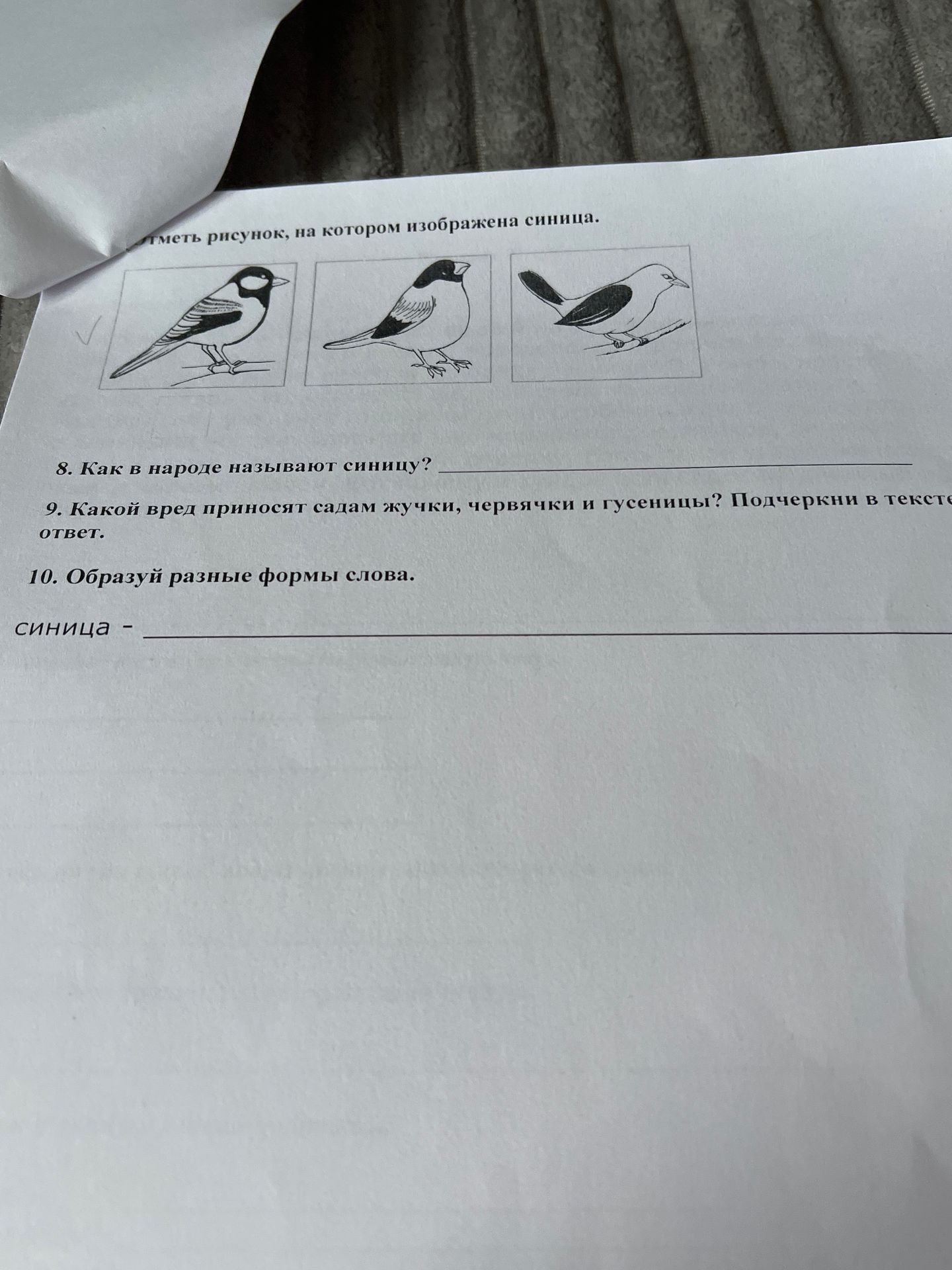 Фото задания: Какой вред приносят садам жучки, червячки и гусеницы? Подчеркни в тексте ответ.
