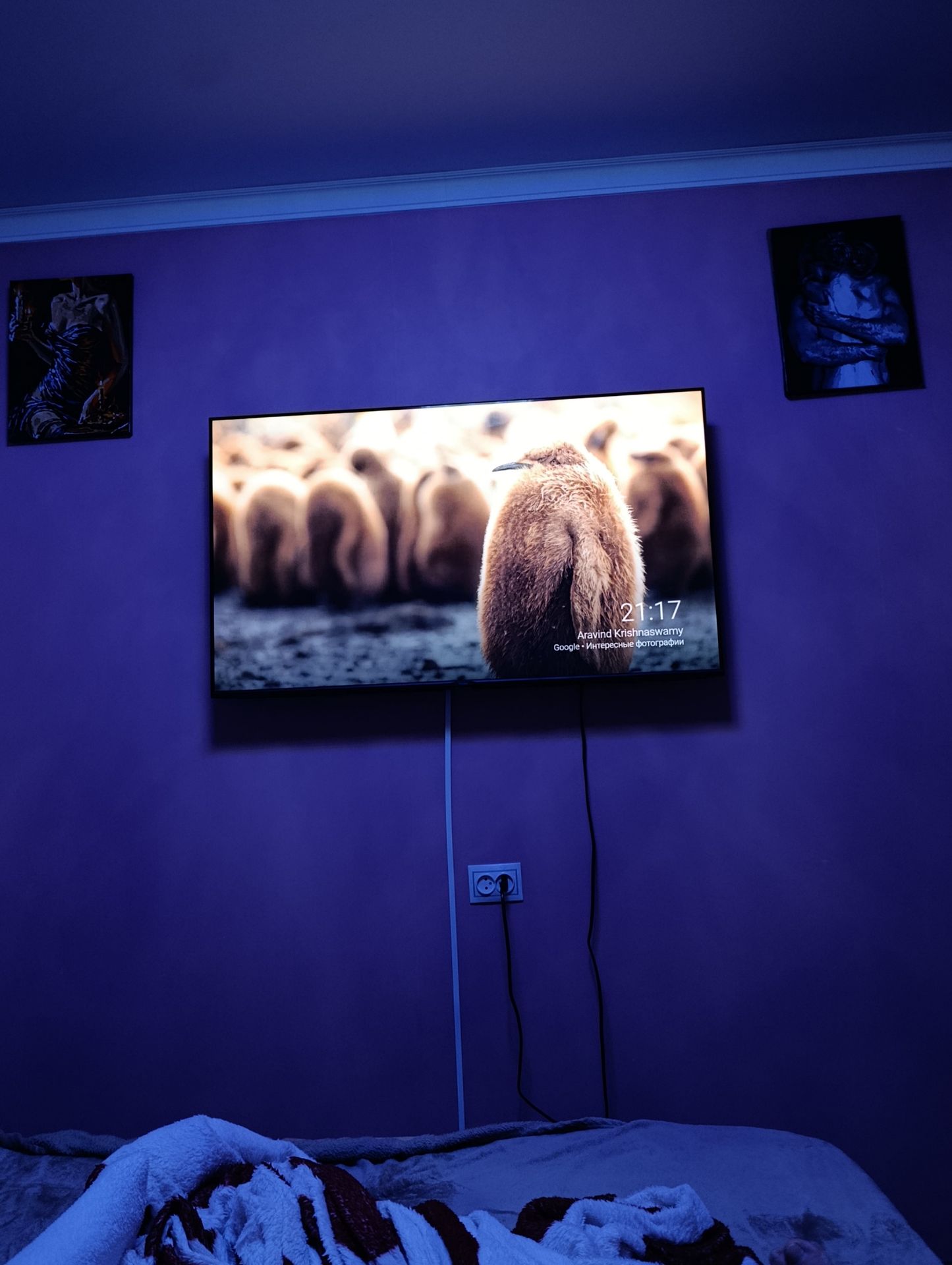 Фото задания: What is shown on the TV screen?