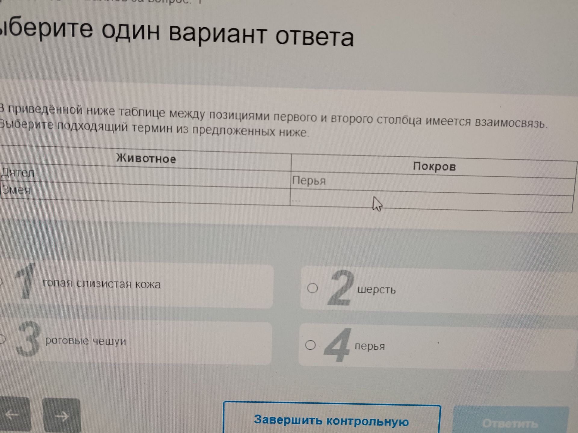 Фото задания: В приведённой ниже таблице между позициями первого и второго столбца имеется взаимосвязь. Выберите подходящий термин из…