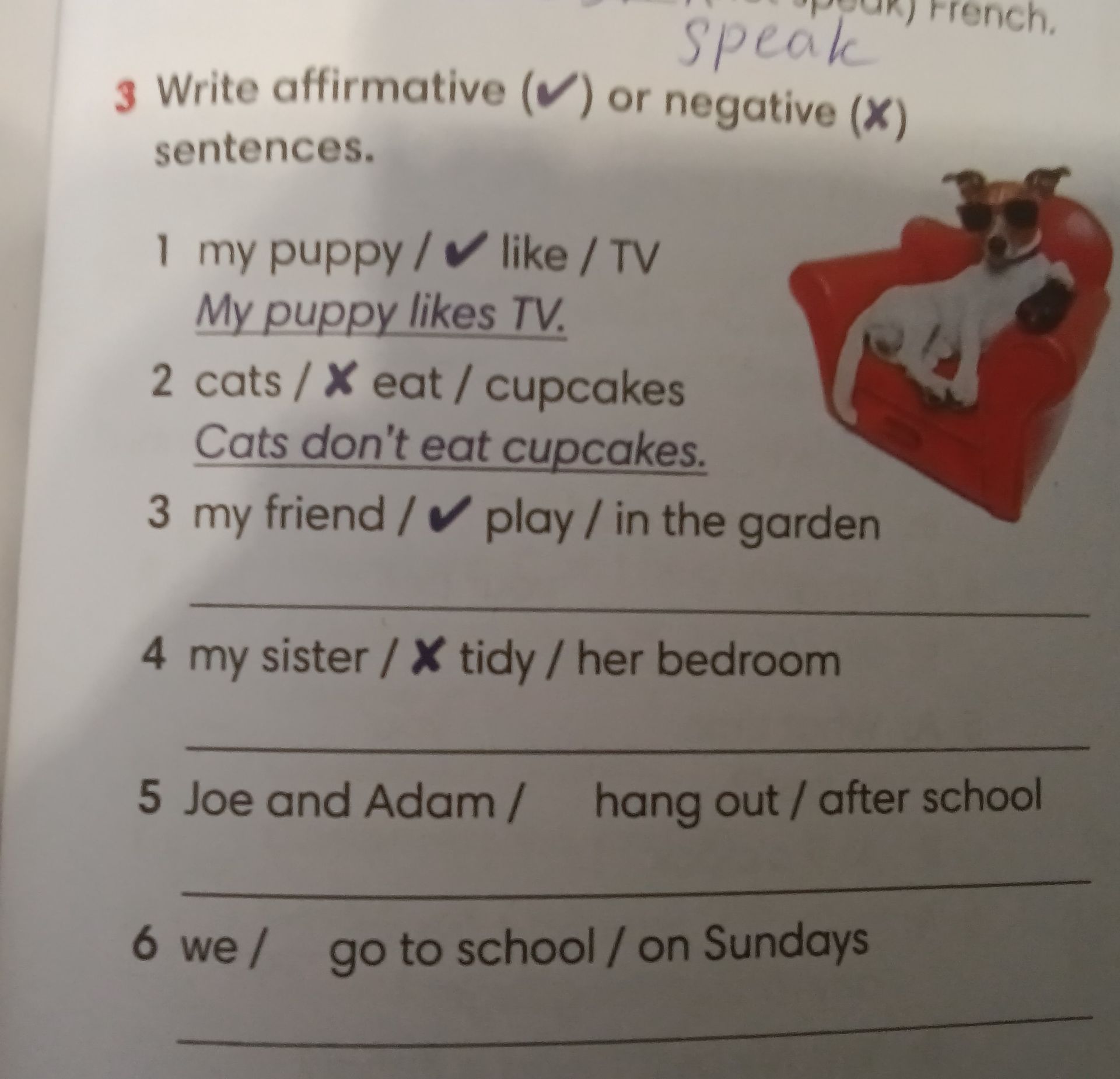 Фото задания: 3 Write affirmative (✔) or negative (X) sentences.