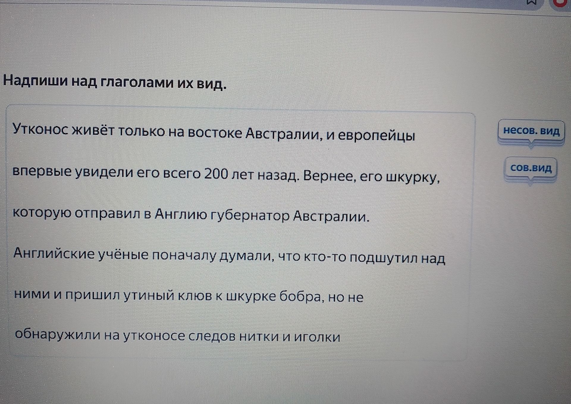 Фото задания: Надпиши над глаголами их вид.