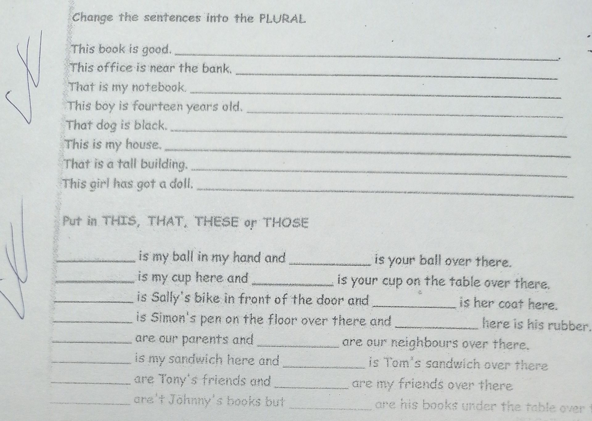 Фото задания: Change the sentences into the PLURAL