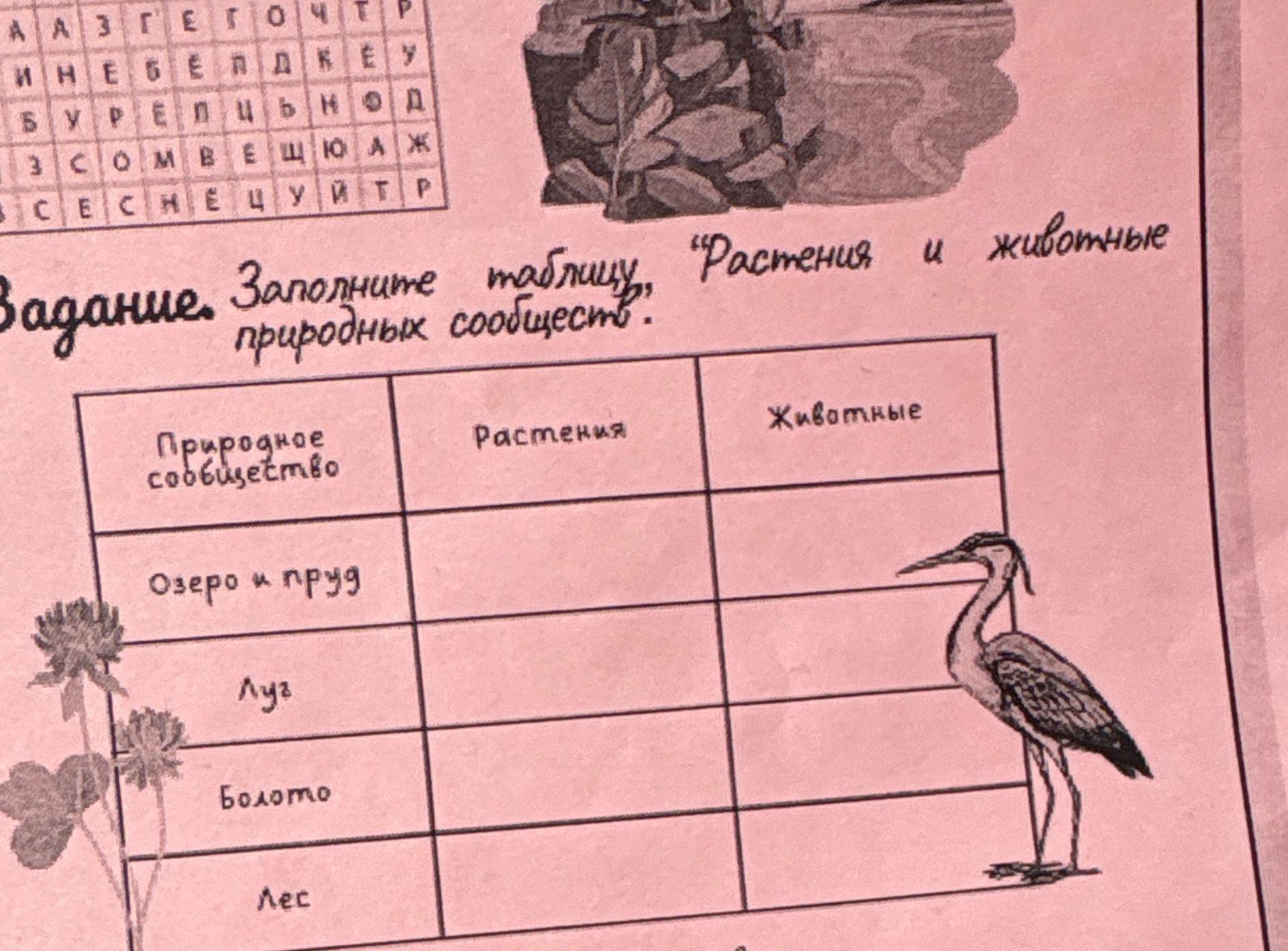 Фото задания: Задание: Заполните таблицу, "Растения и животные природных сообществ."