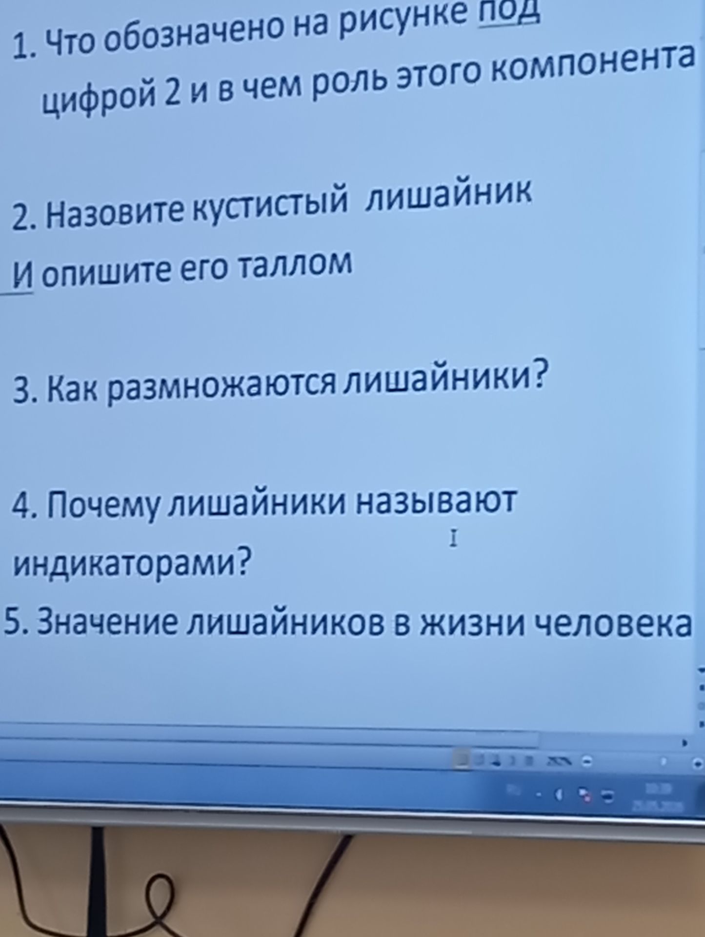 Фото задания: 3. Как размножаются лишайники?