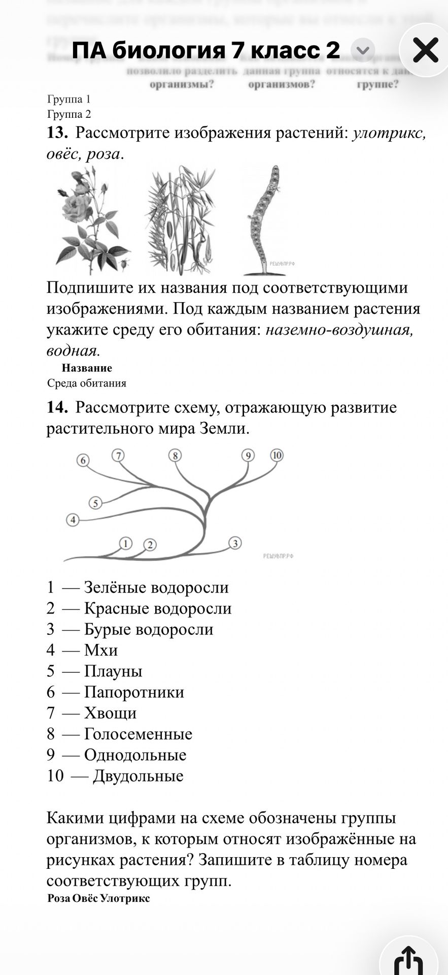 Фото задания: 13. Рассмотрите изображения растений: улотрикс, овёс, роза. Подпишите их названия под соответствующими изображениями. Под…