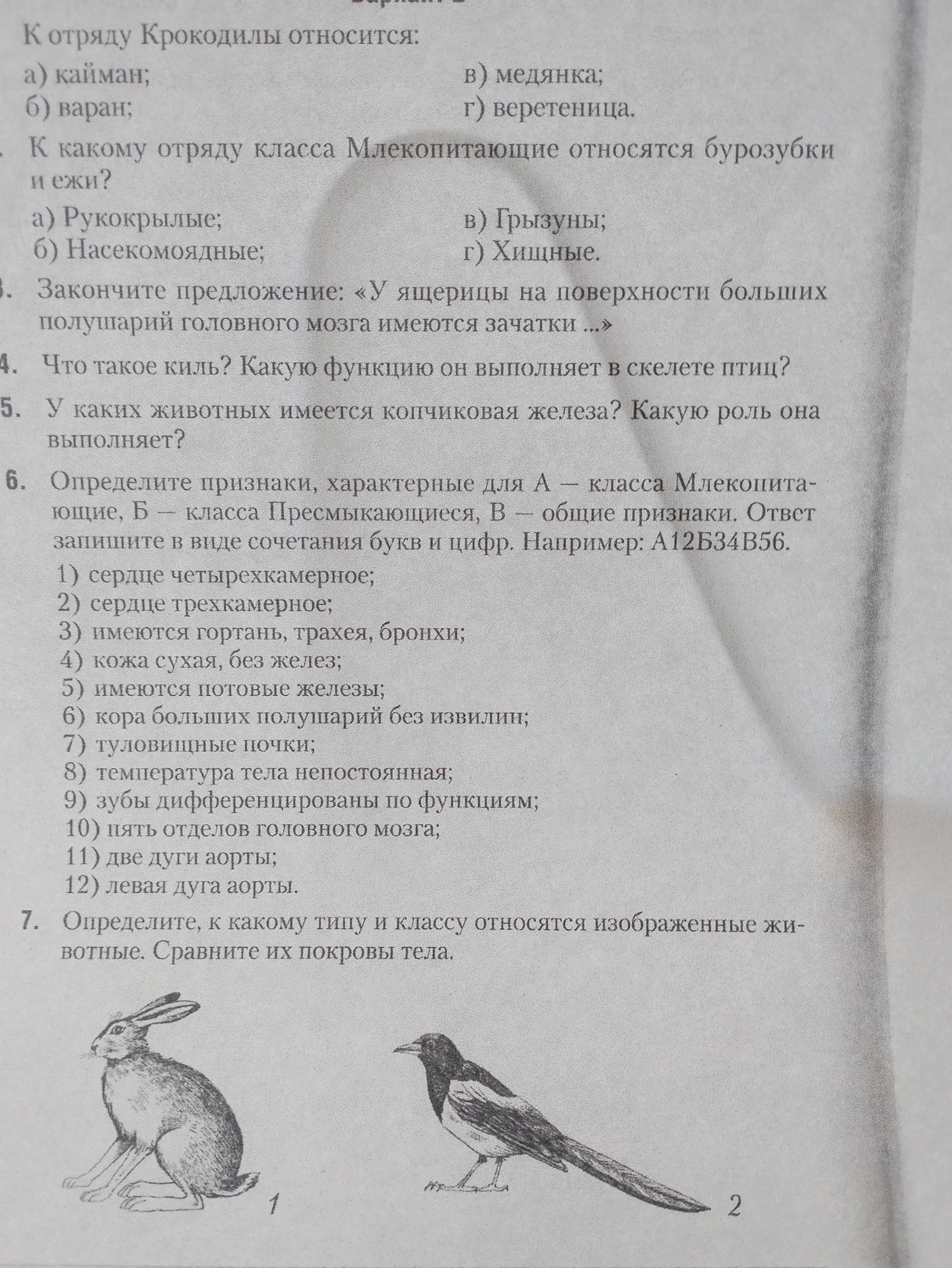 Фото задания: К отряду Крокодилы относится: