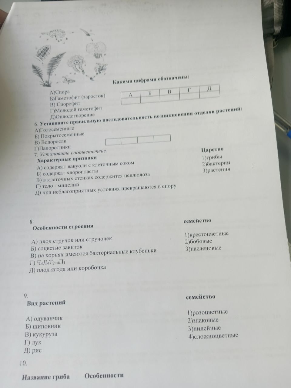 Фото задания: 10. Название гриба Особенности