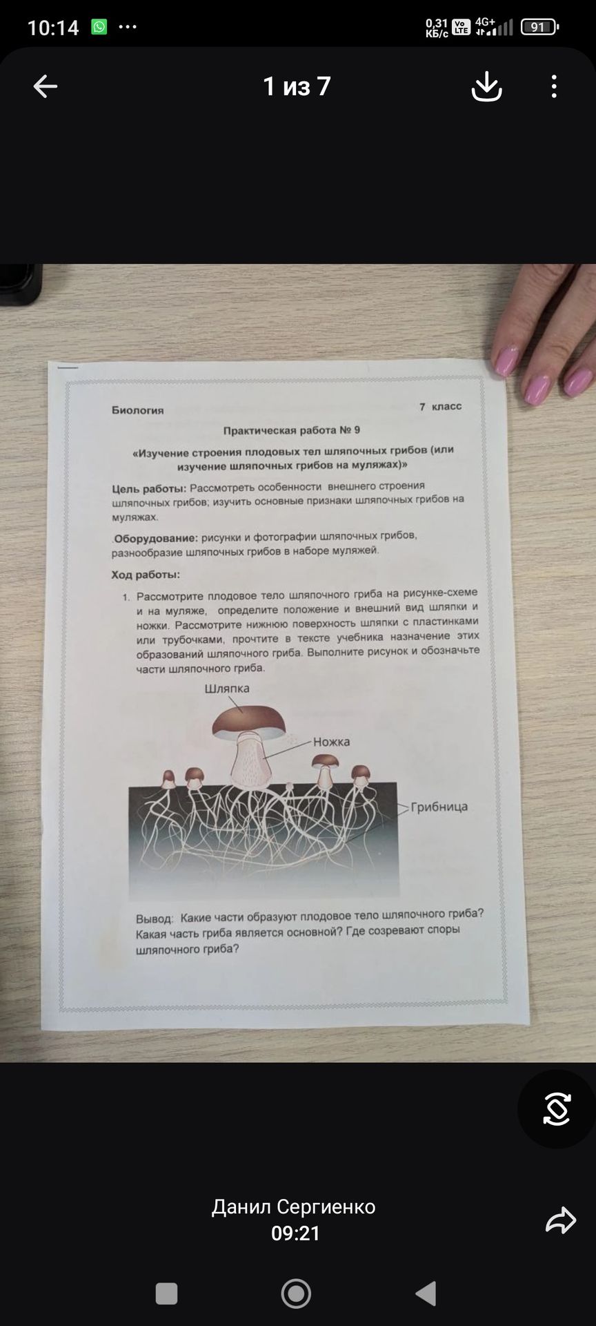 Фото задания: Биология Практическая работа № 9 «Изучение строения плодовых тел шляпочных грибов (или изучение шляпочных грибов на муляжах)»…