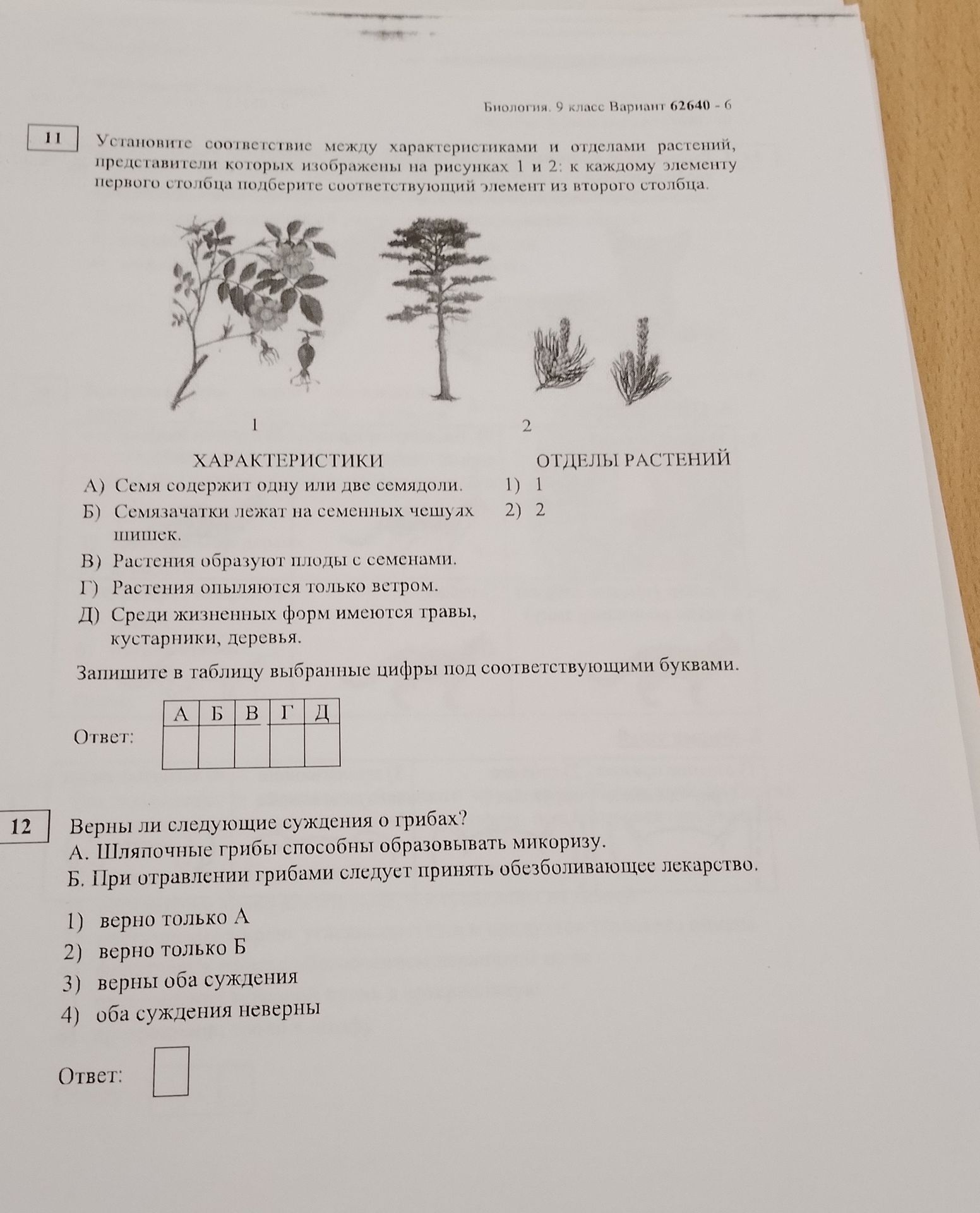 Фото задания: Установите соответствие между характеристиками и отделами растений, представители которых изображены на рисунках 1 и 2: к…