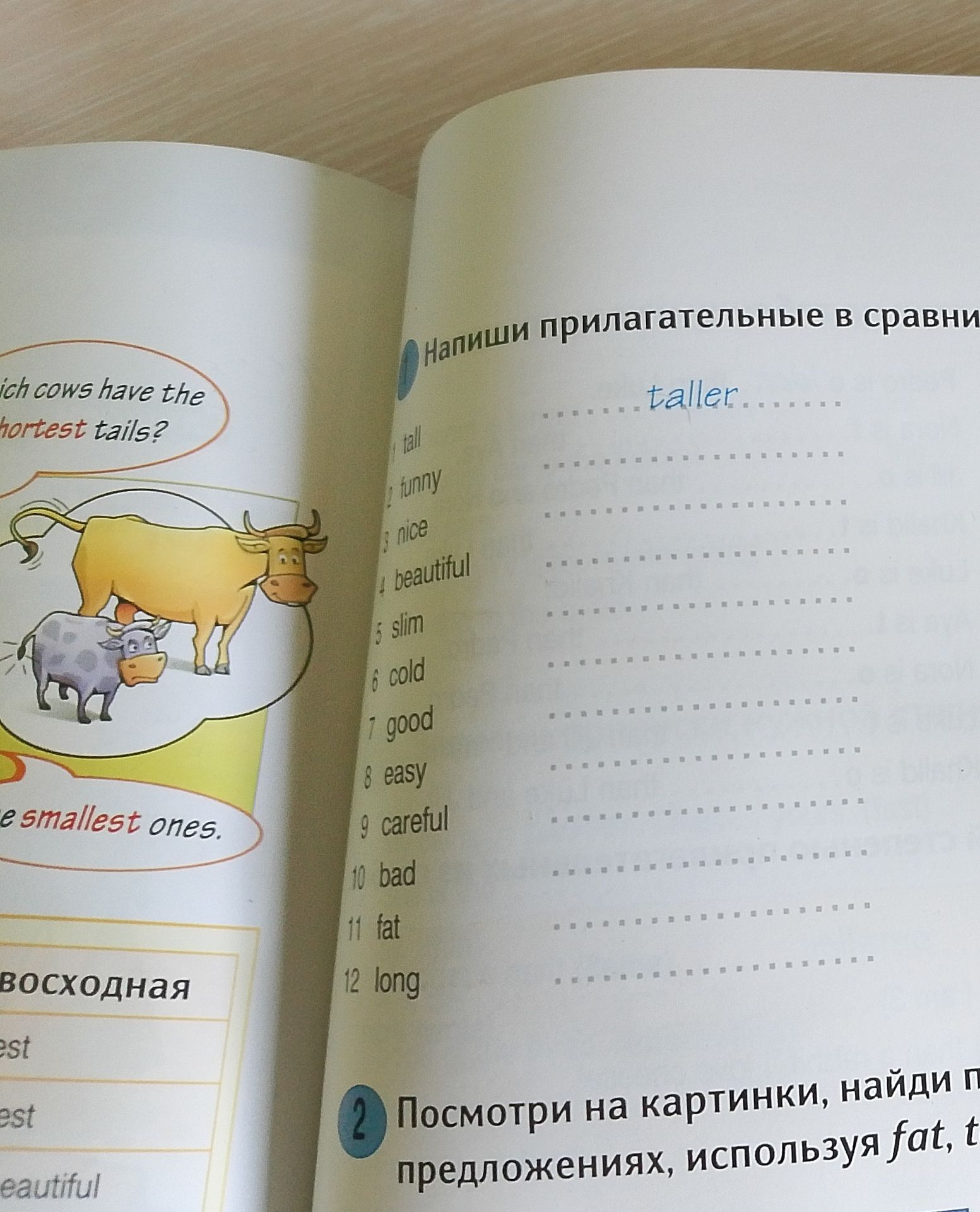 Фото задания: Which cows have the shortest tails?