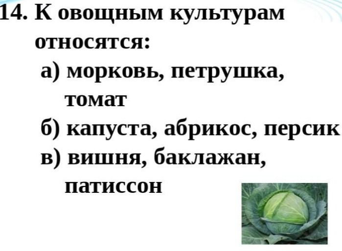 Фото задания: 14. К овощным культурам относятся: