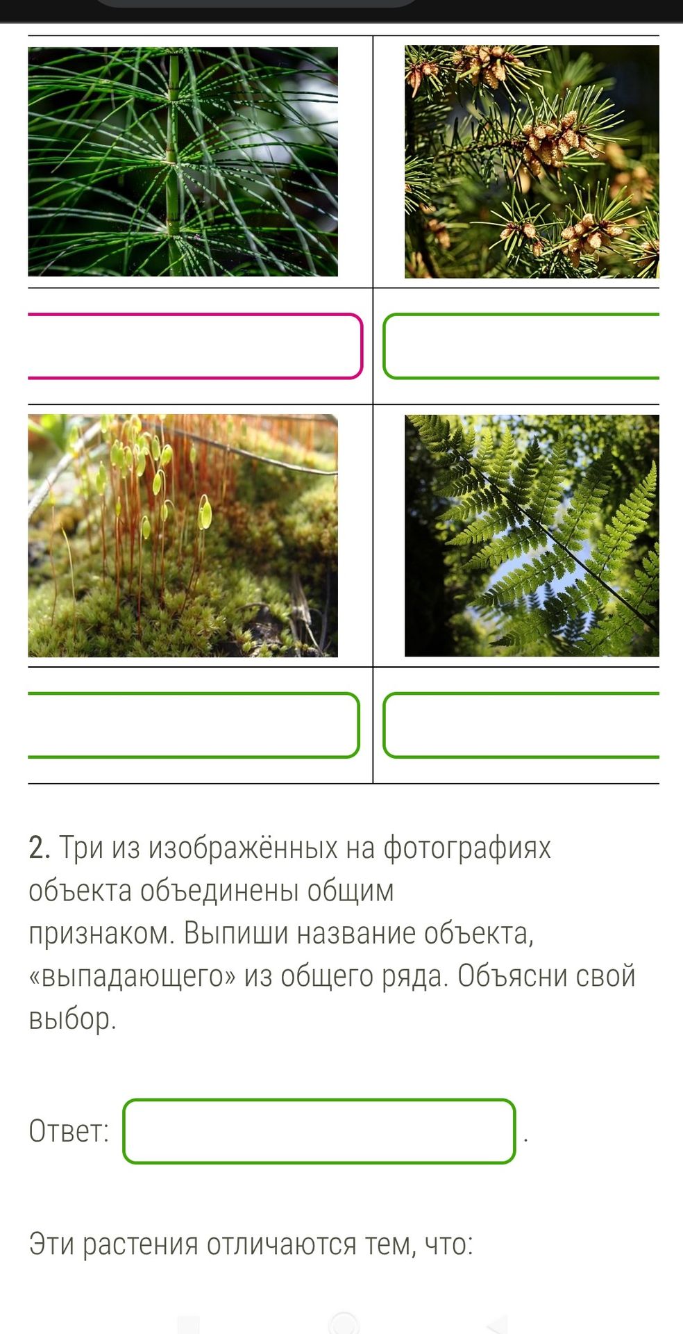 Фото задания: Три из изображённых на фотографиях объекта объединены общим признаком. Выпиши название объекта, «выпадающего» из общего ряда.…