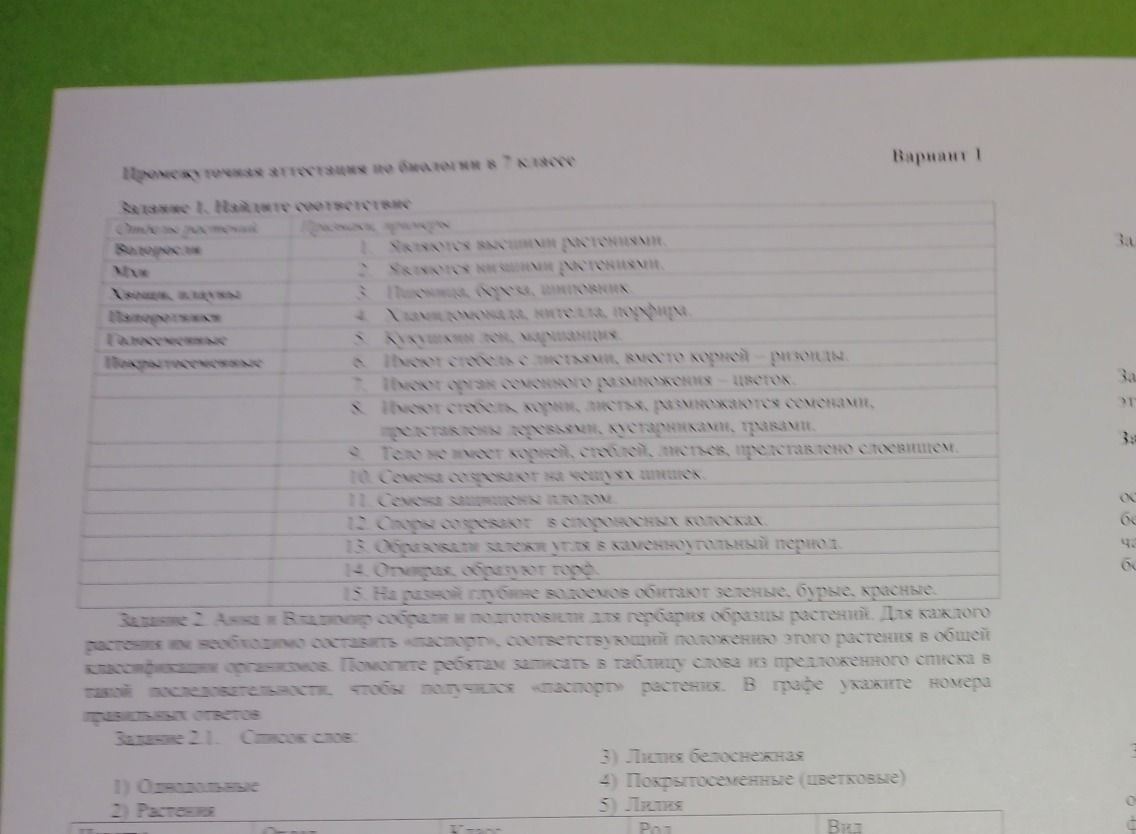 Фото задания: Промежуточная аттестация по биологии в 7 классе Задание 1. Найдите соответствие Валоросли Мхи Папоротники Голосеменные…