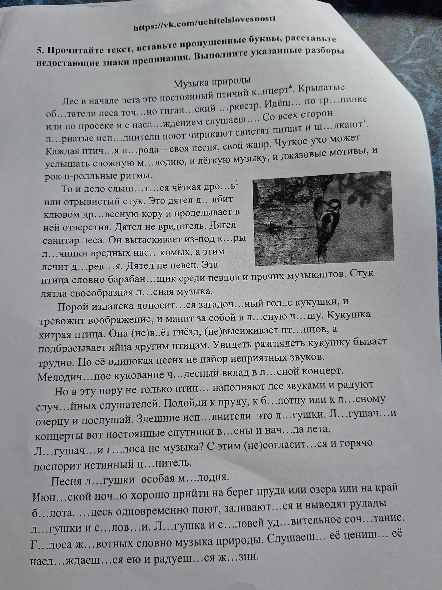 Фото задания