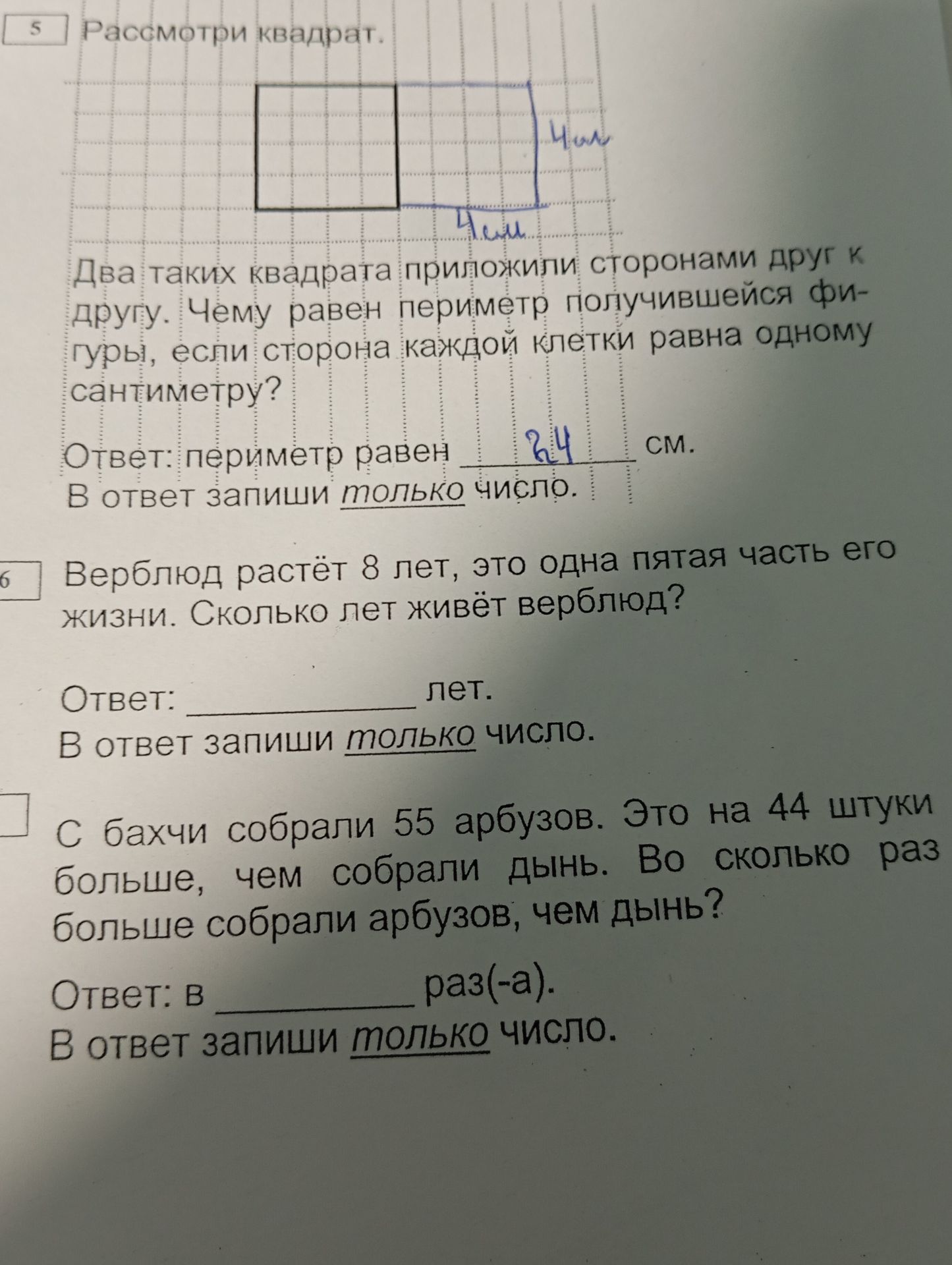 Фото задания: Рассмотри квадрат. Два таких квадрата приложили сторонами друг к другу. Чему равен периметр получившейся фигуры, если сторона…