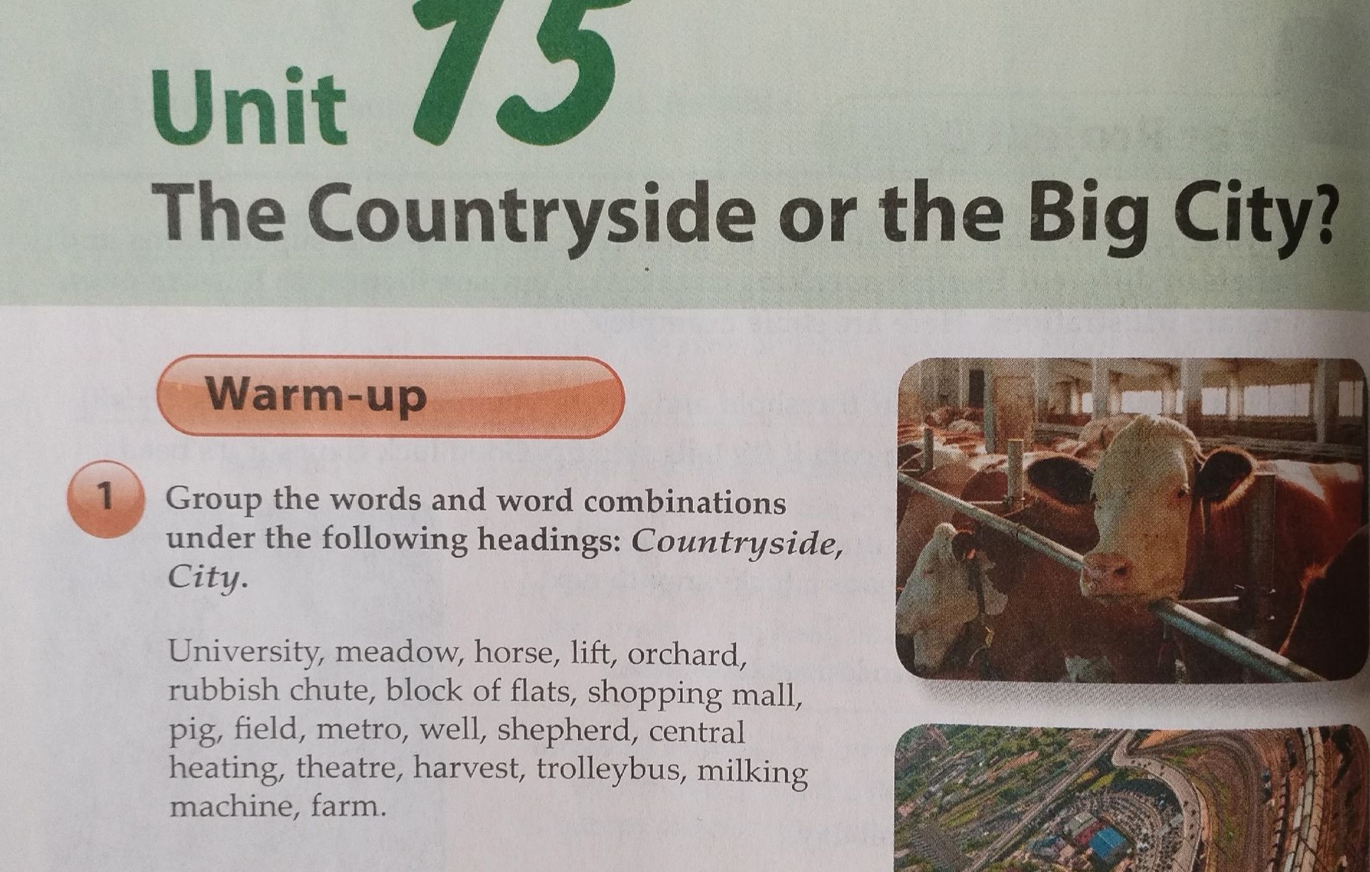 Фото задания: Group the words and word combinations under the following headings: Countryside, City.