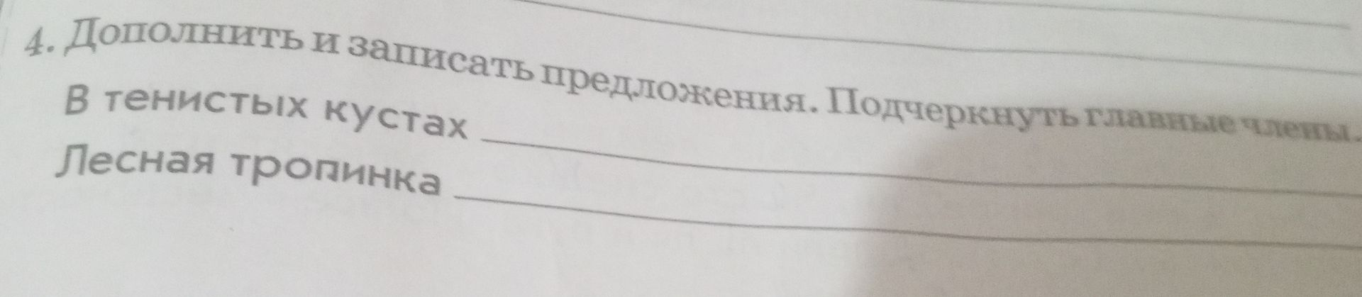 Фото задания: 4. Дополнить и записать предложения. Подчеркнуть главные члены. В тенистых кустах Лесная тропинка