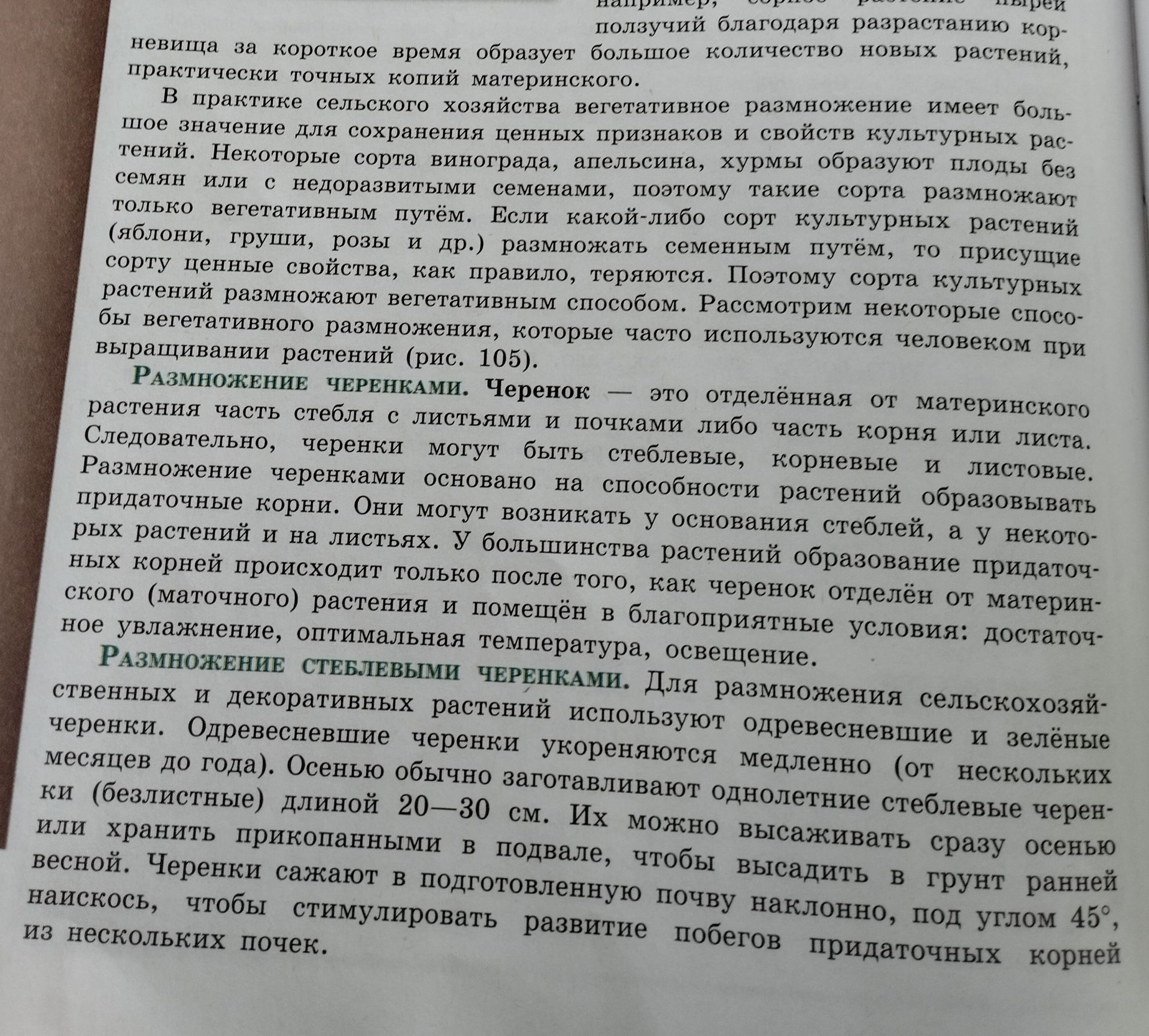 Фото задания: Что такое черенок?