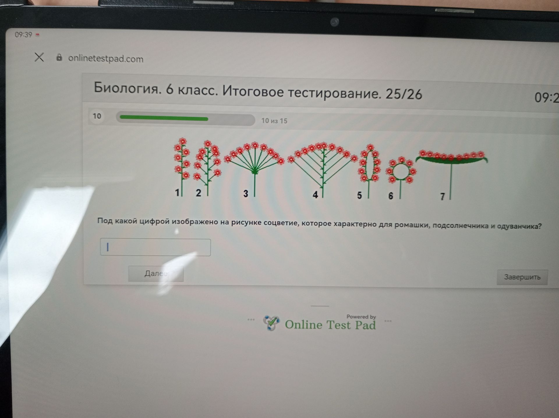 Фото задания: Биология. 6 класс. Итоговое тестирование. 25/26